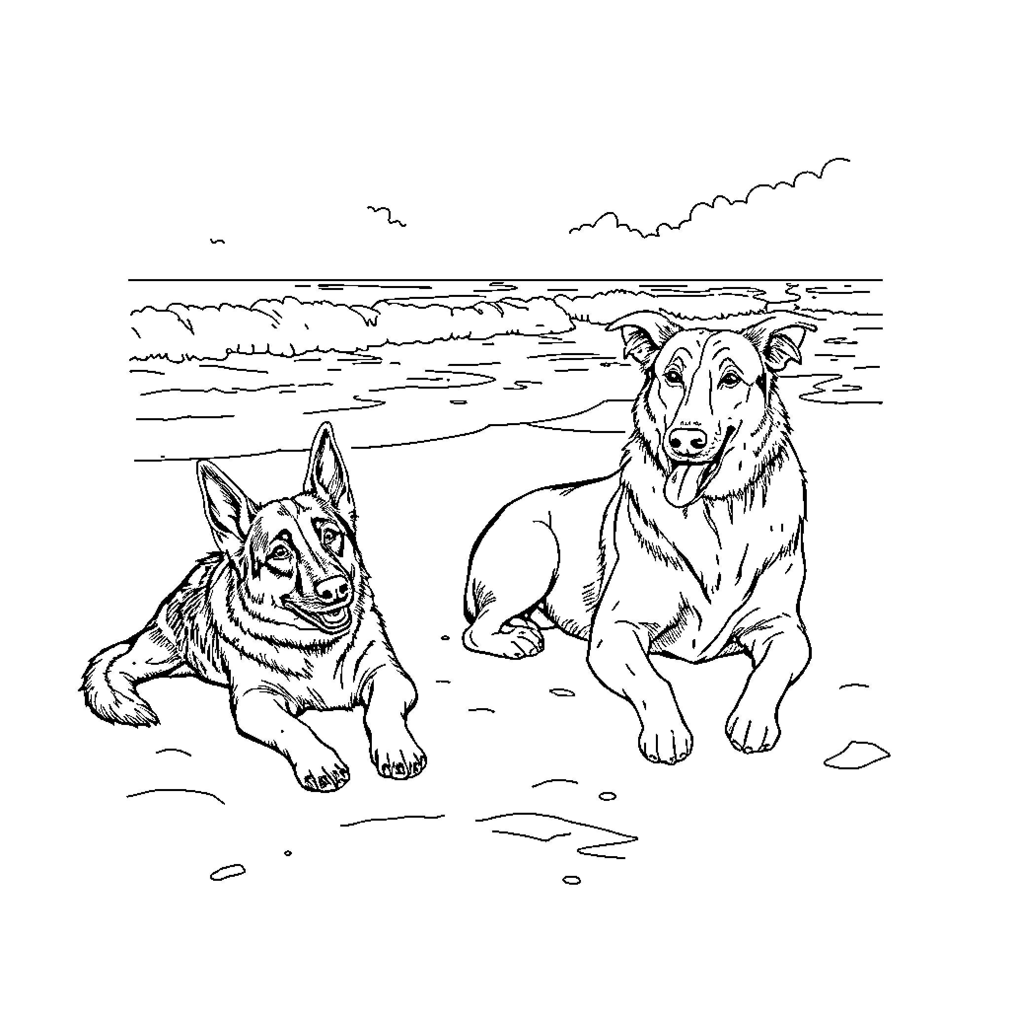 Dog companions enjoying the beach Coloring Page (free black-and-white line drawing printable PDF for all, from beginners to advanced learners, including children, teens, adults, and seniors)