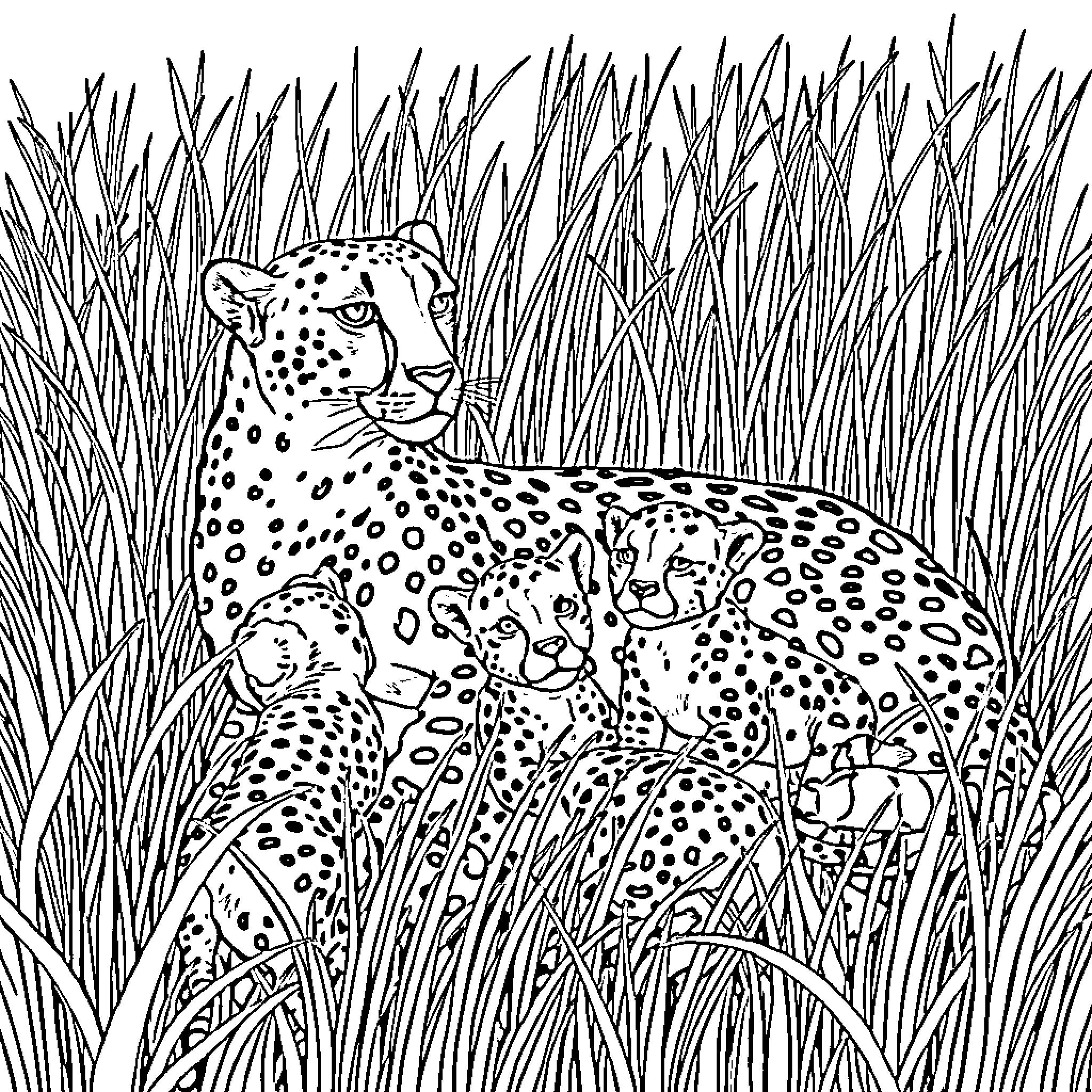 Cheetah and cubs in tall grass Coloring Page (free black-and-white line drawing printable PDF for all, from beginners to advanced learners, including children, teens, adults, and seniors)
