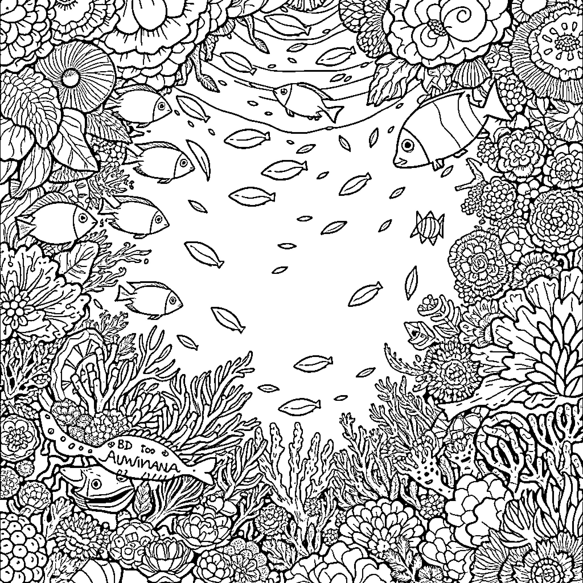 Aquatic Wonderland of Vibrant Marine Life Coloring Page (free black-and-white line drawing printable PDF for all, from beginners to advanced learners, including children, teens, adults, and seniors)