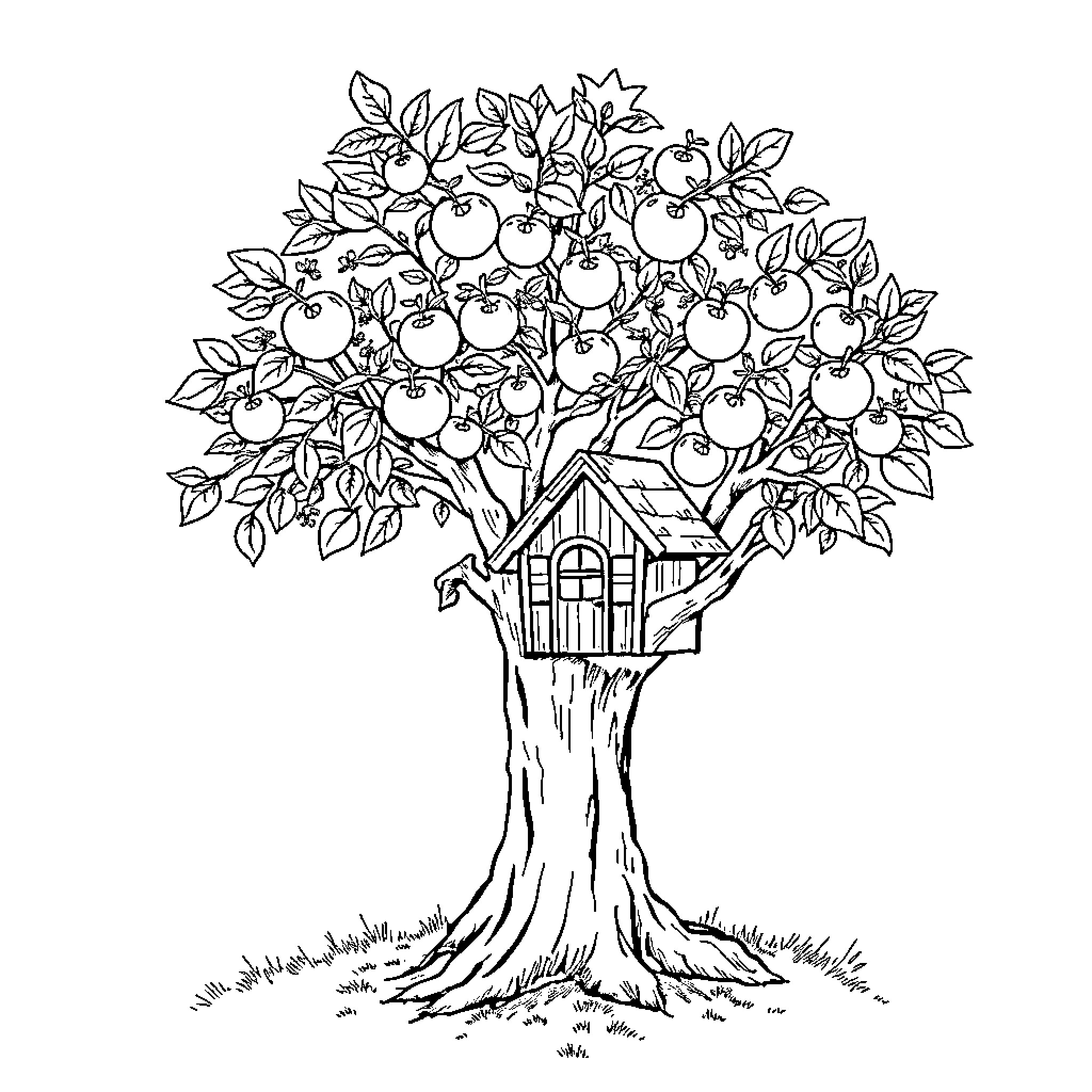 Apple Tree with Birdhouse in Its Branches Coloring Page (free black-and-white line drawing printable PDF for all, from beginners to advanced learners, including children, teens, adults, and seniors)