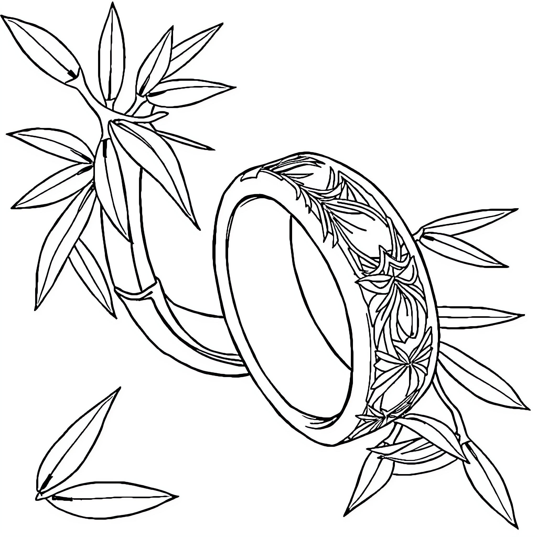 Ring of nature's elements Coloring Page (free black-and-white line drawing printable PDF for all, from beginners to advanced learners, including children, teens, adults, and seniors)