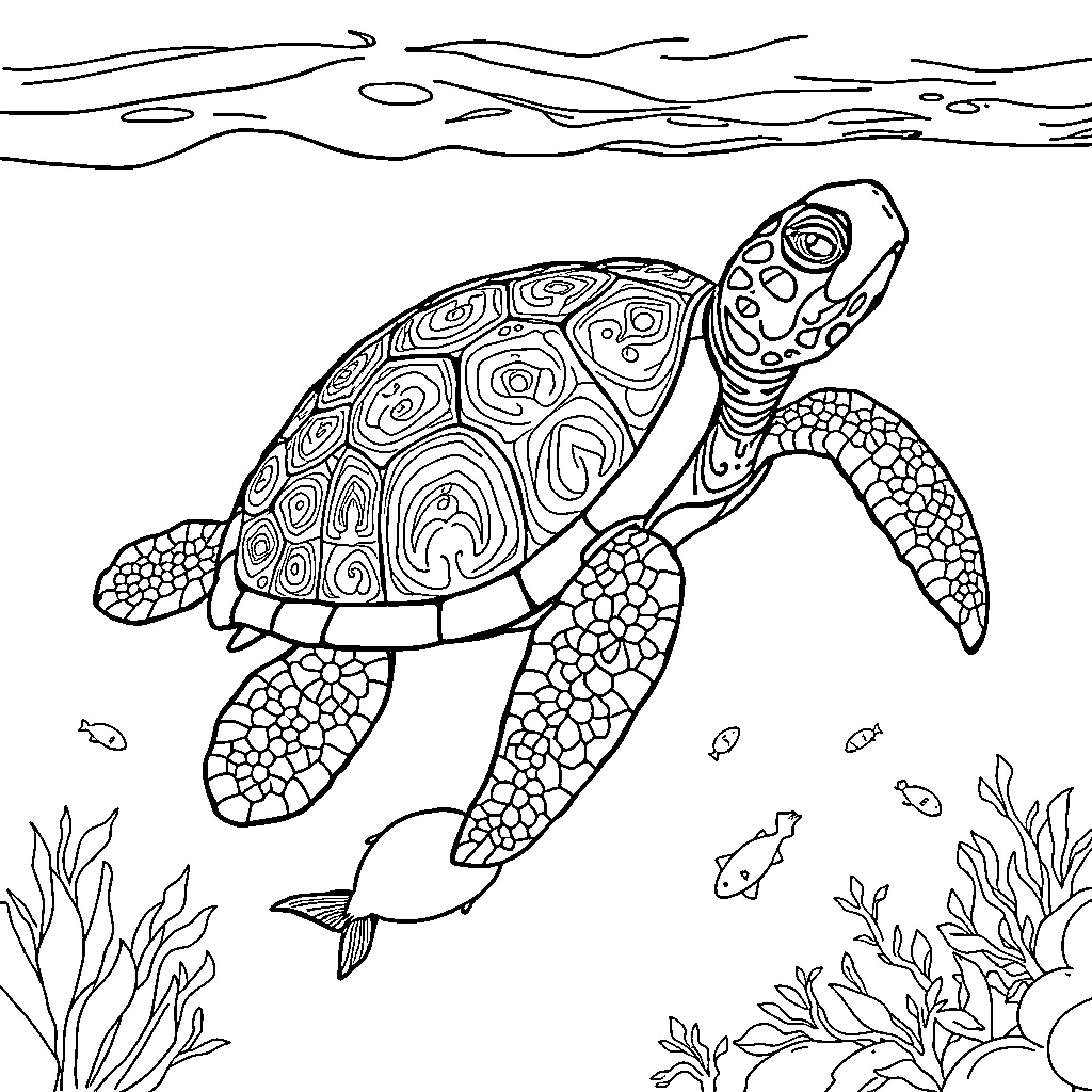 Turtle swimming gracefully in the ocean Coloring Page (free black-and-white line drawing printable PDF for all, from beginners to advanced learners, including children, teens, adults, and seniors)