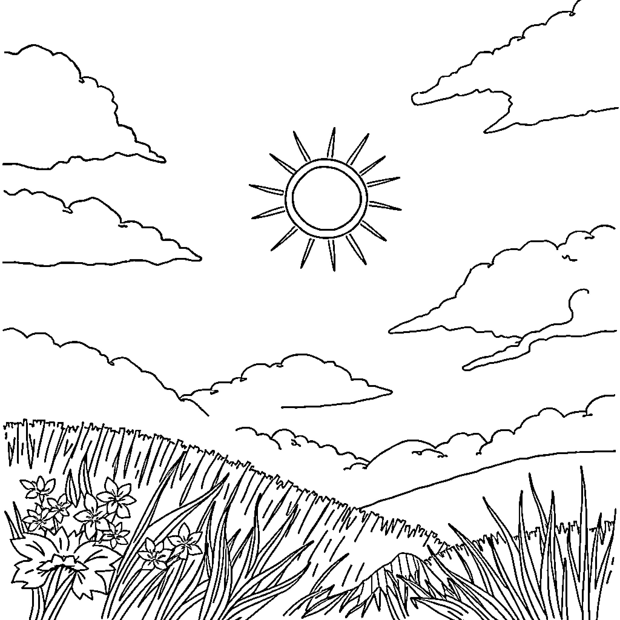 Wednesday in the Sunny Meadow Coloring Page (free black-and-white line drawing printable PDF for all, from beginners to advanced learners, including children, teens, adults, and seniors)