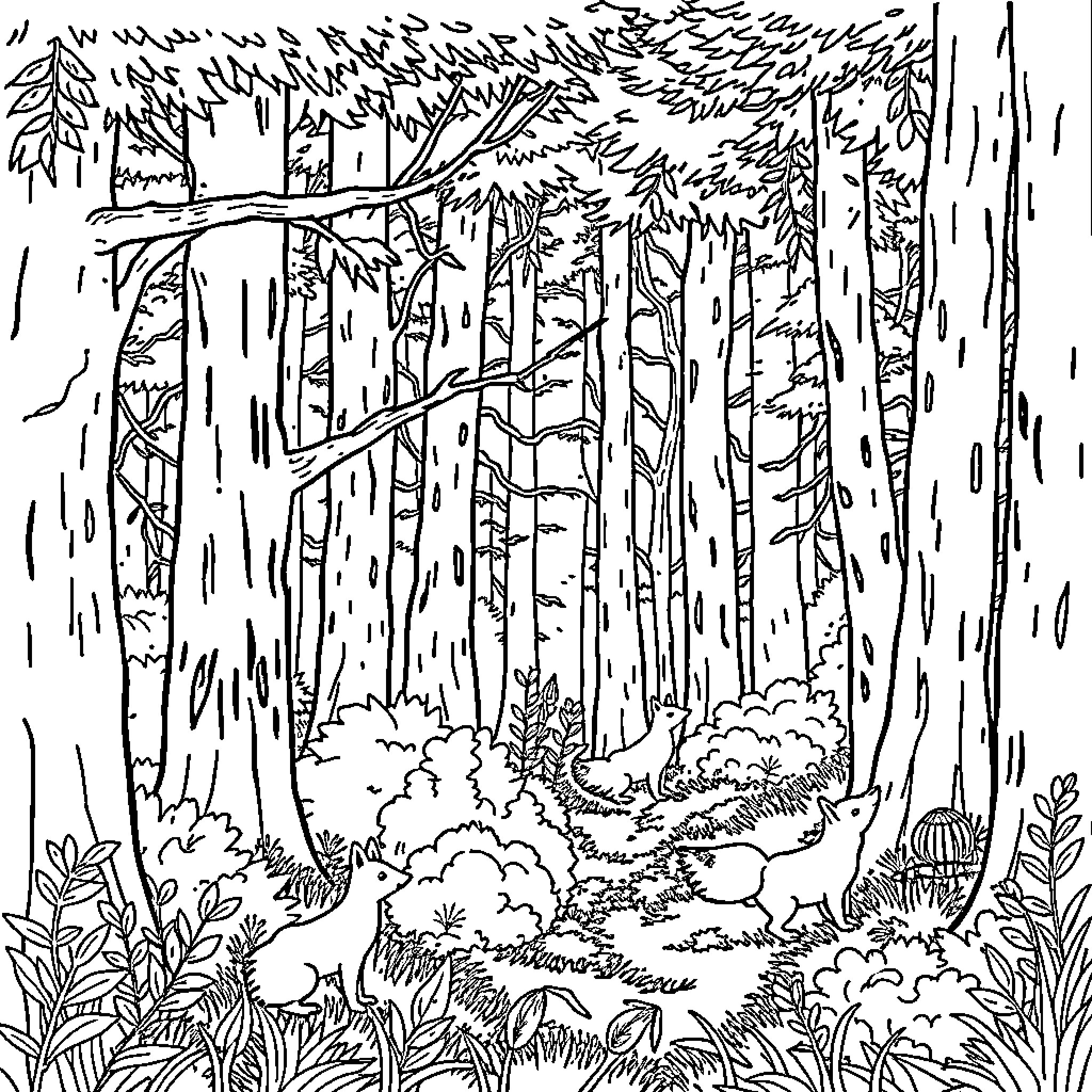 Forest scene with dense vegetation and rugged terrain Coloring Page (free black-and-white line drawing printable PDF for all, from beginners to advanced learners, including children, teens, adults, and seniors)