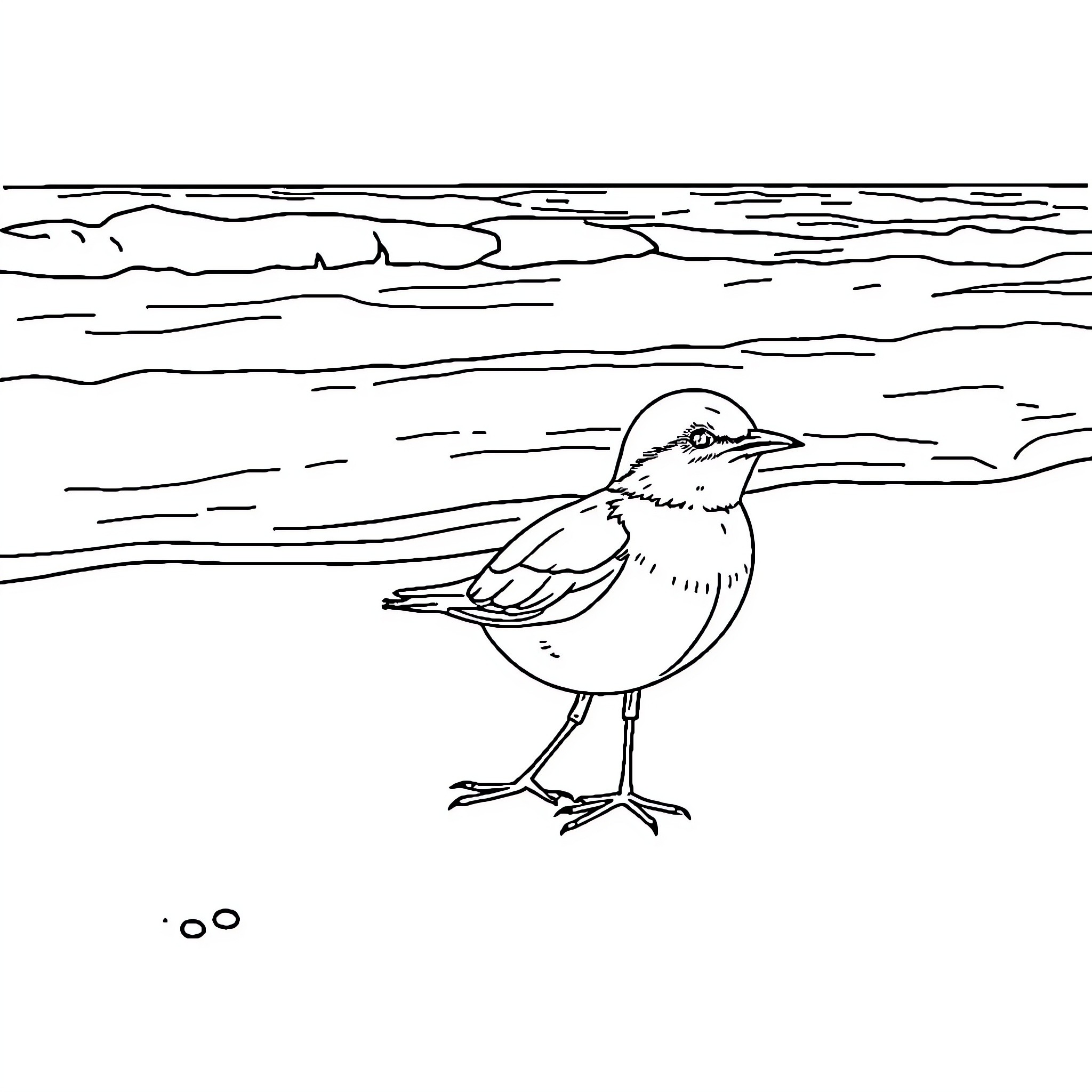 Bird standing on the shore Coloring Page (free black-and-white line drawing printable PDF for all, from beginners to advanced learners, including children, teens, adults, and seniors)