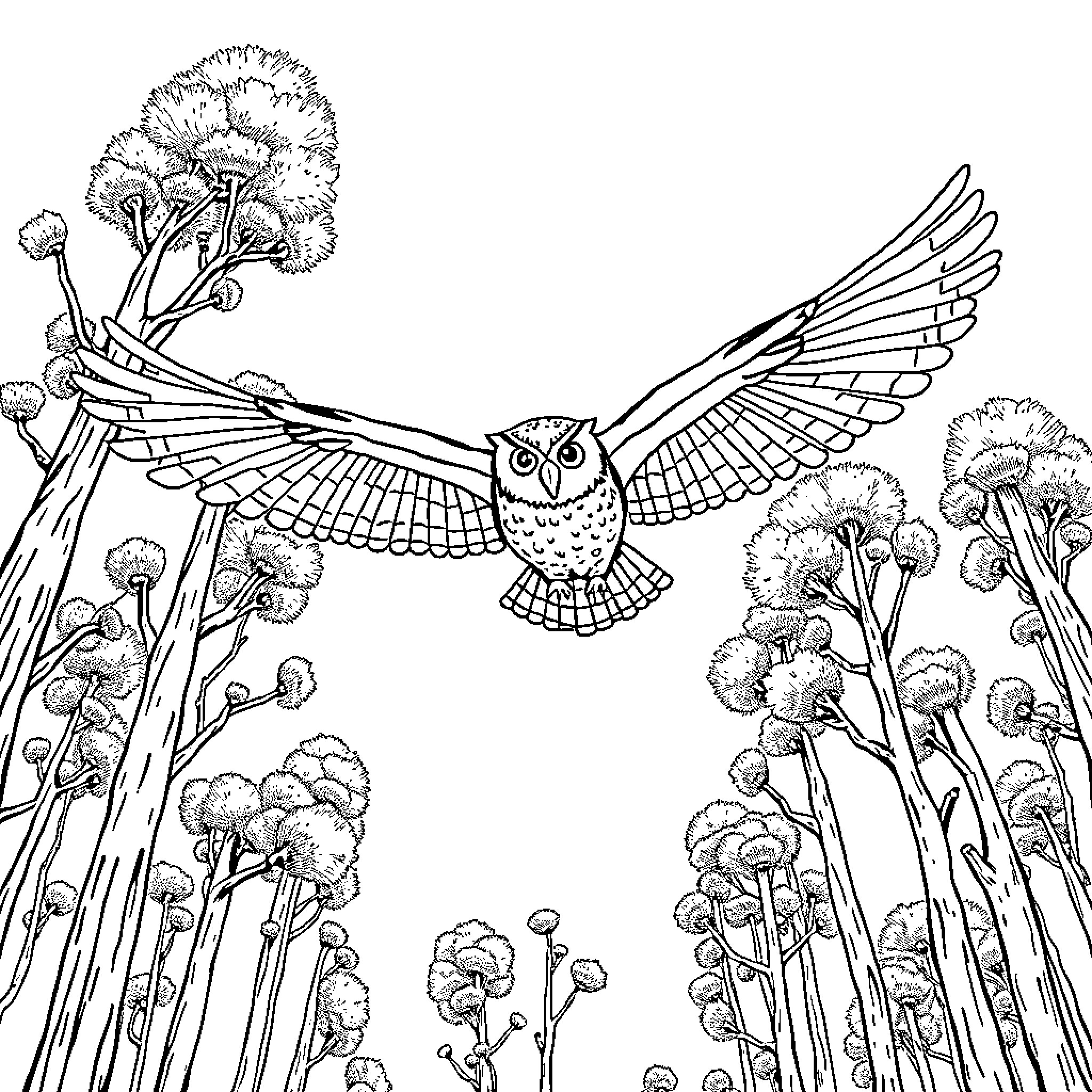 Owl soaring above enchanted mushroom forest Coloring Page (free black-and-white line drawing printable PDF for all, from beginners to advanced learners, including children, teens, adults, and seniors)