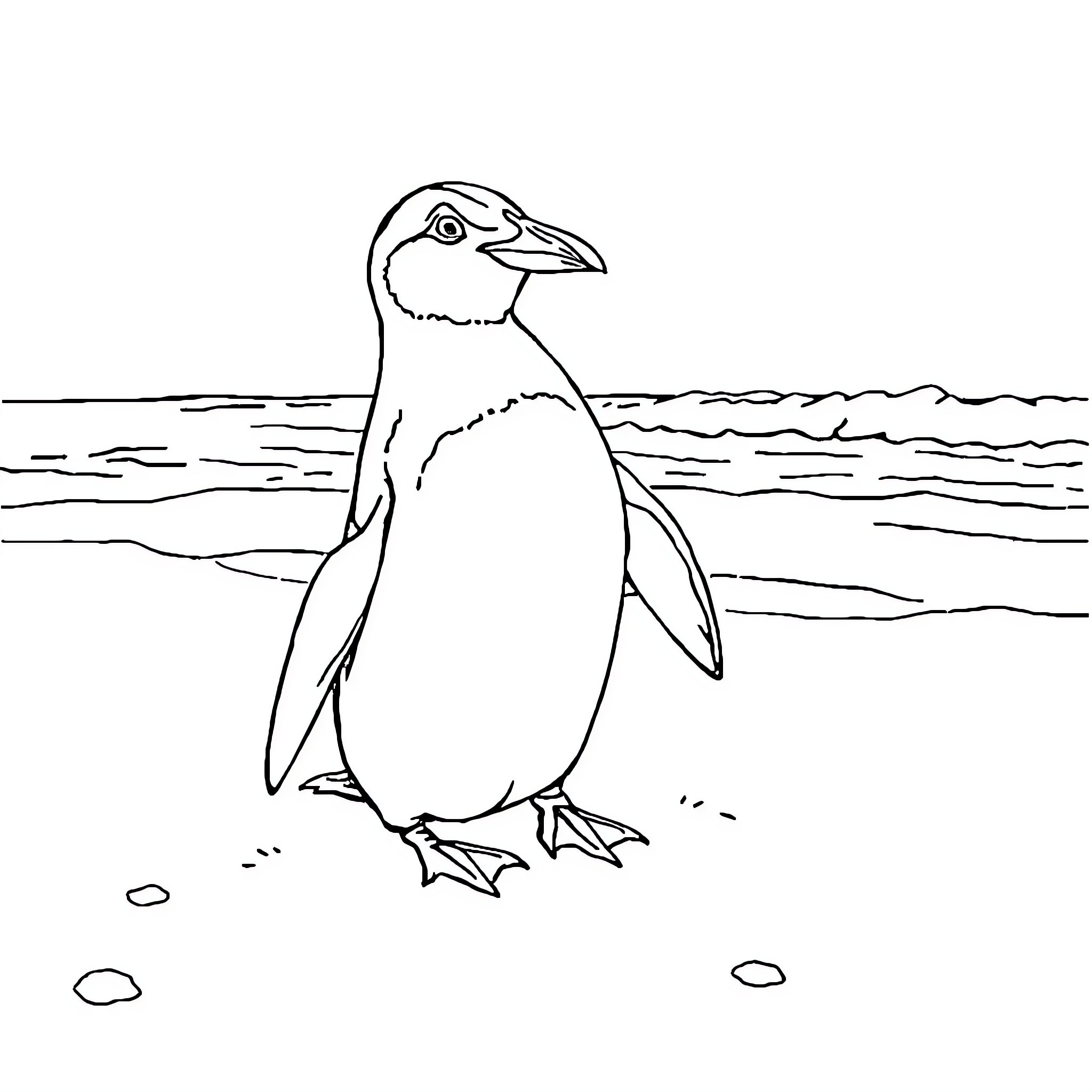 Penguin standing on the beach Coloring Page (free black-and-white line drawing printable PDF for all, from beginners to advanced learners, including children, teens, adults, and seniors)