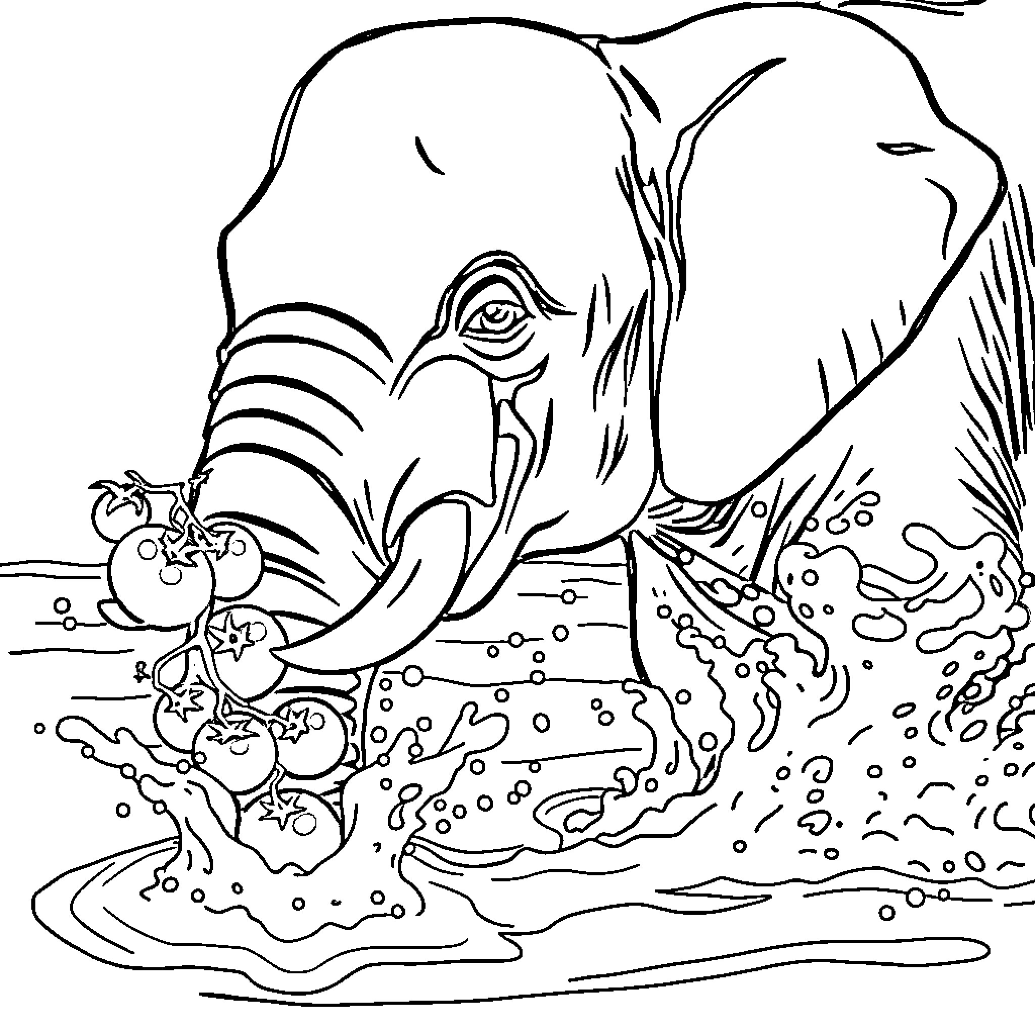 Elephant bathing in a pond with flowers Coloring Page (free black-and-white line drawing printable PDF for all, from beginners to advanced learners, including children, teens, adults, and seniors)