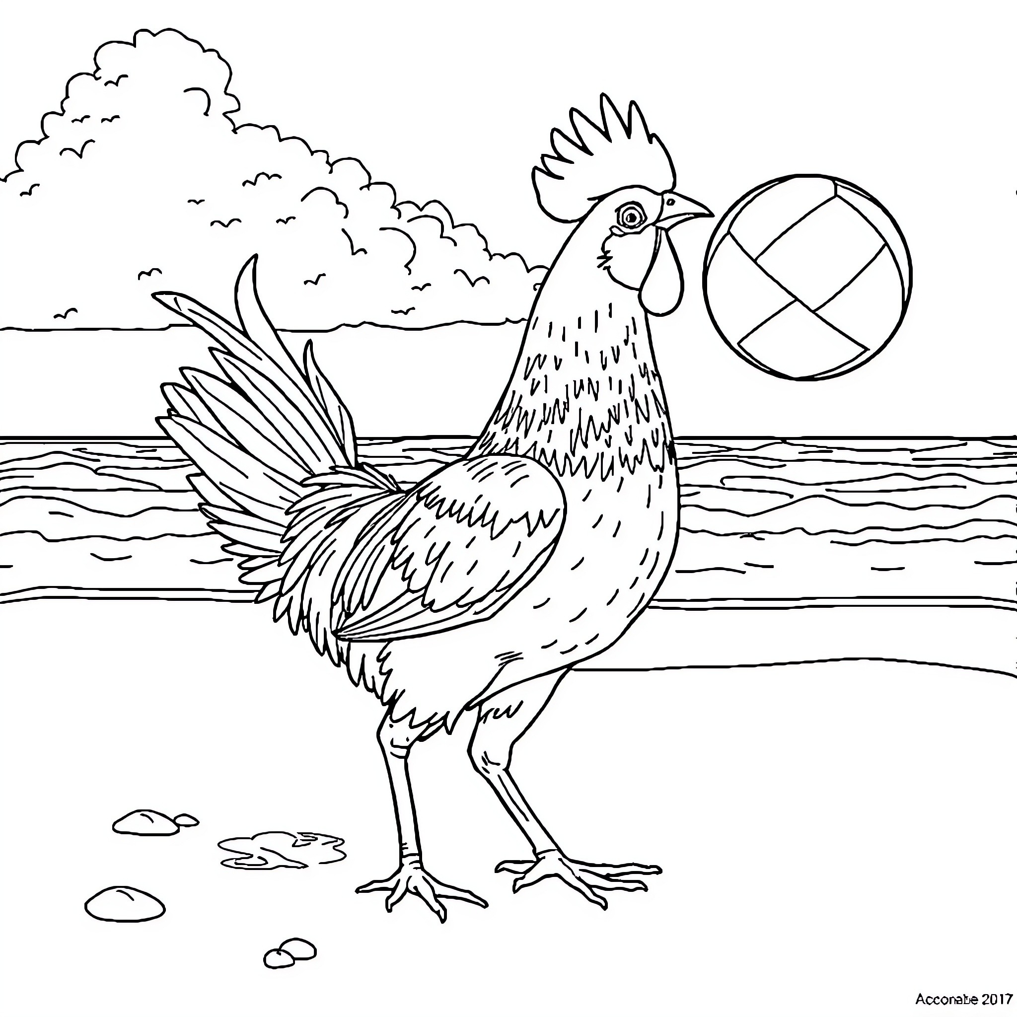 Coq playing with beach ball near the shore Coloring Page (free black-and-white line drawing printable PDF for all, from beginners to advanced learners, including children, teens, adults, and seniors)