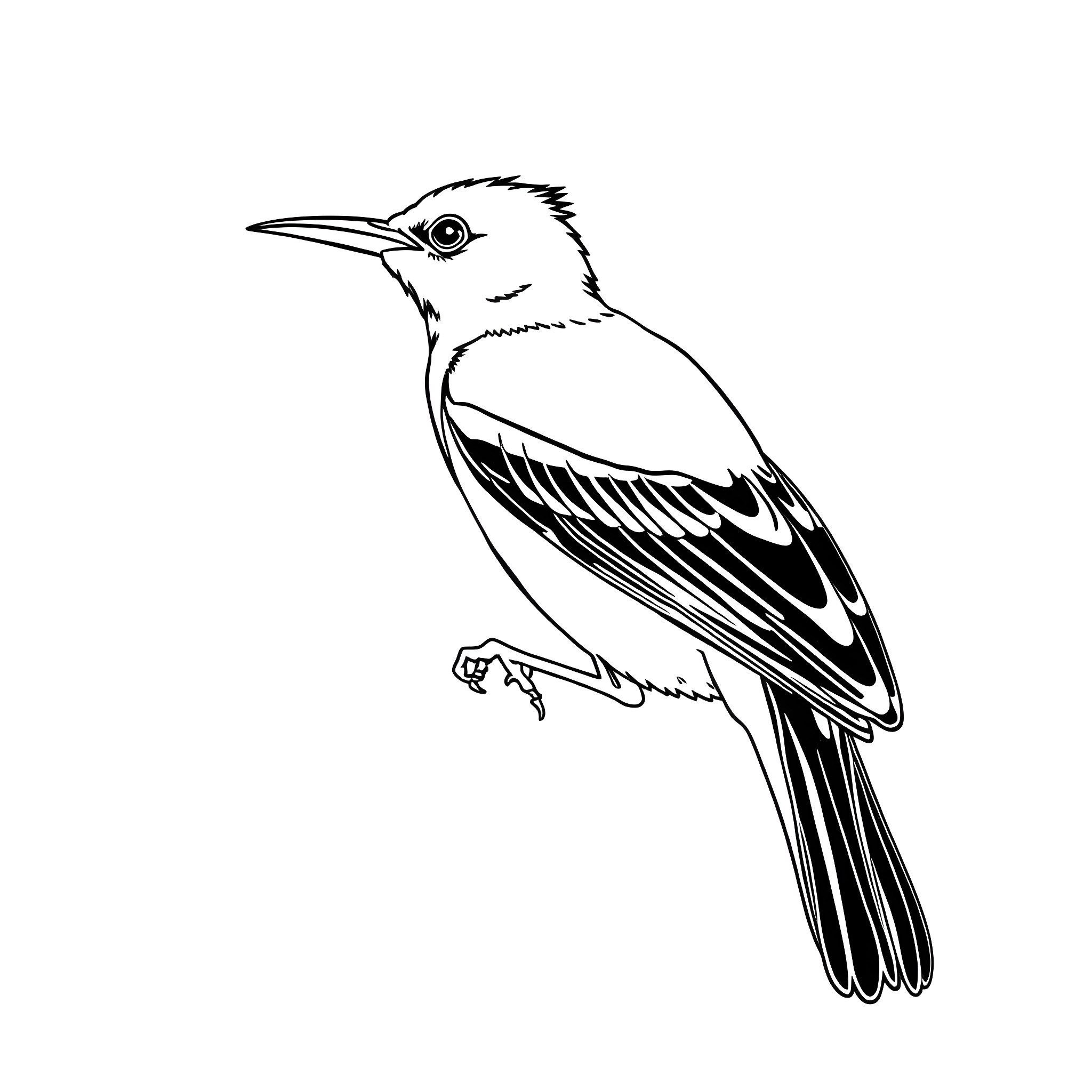Oriole perching with detailed feather pattern Coloring Page (free black-and-white line drawing printable PDF for all, from beginners to advanced learners, including children, teens, adults, and seniors)