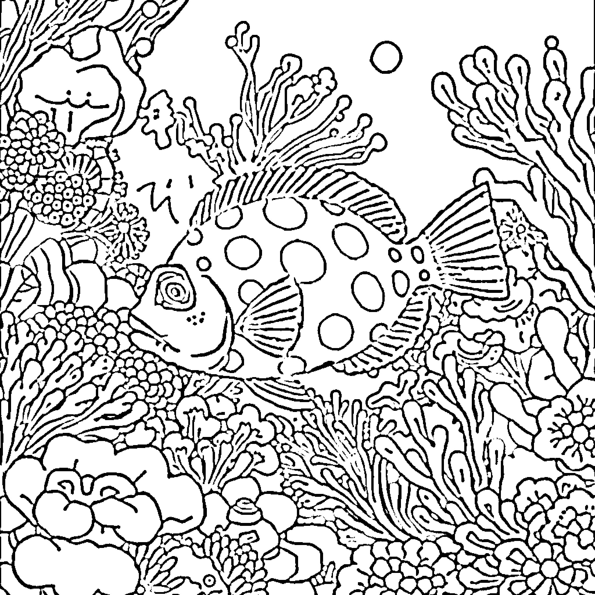 Pufferfish swimming in a vibrant underwater coral reef Coloring Page (free black-and-white line drawing printable PDF for all, from beginners to advanced learners, including children, teens, adults, and seniors)