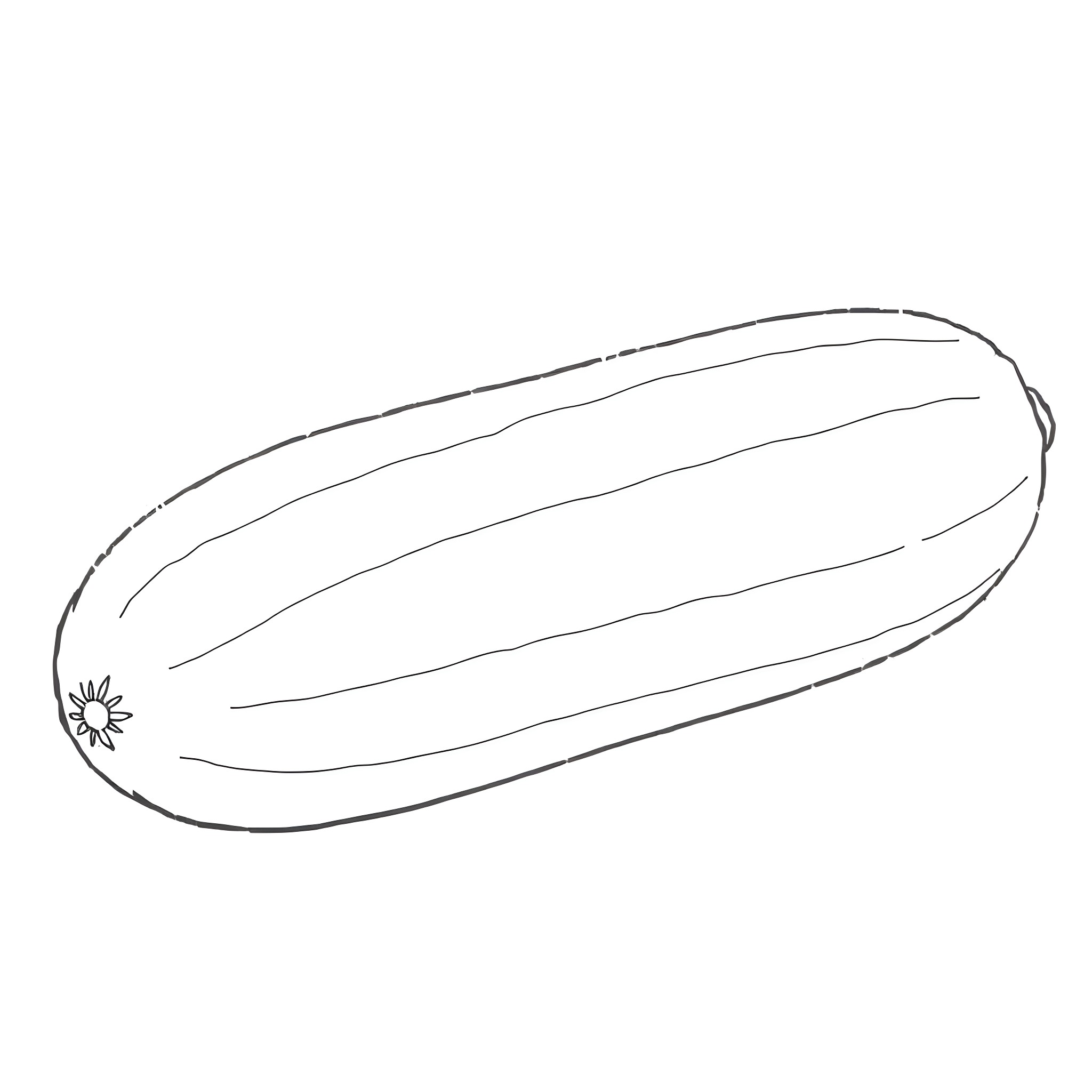 Cucumber shaped object with decorative details Coloring Page (free black-and-white line drawing printable PDF for all, from beginners to advanced learners, including children, teens, adults, and seniors)