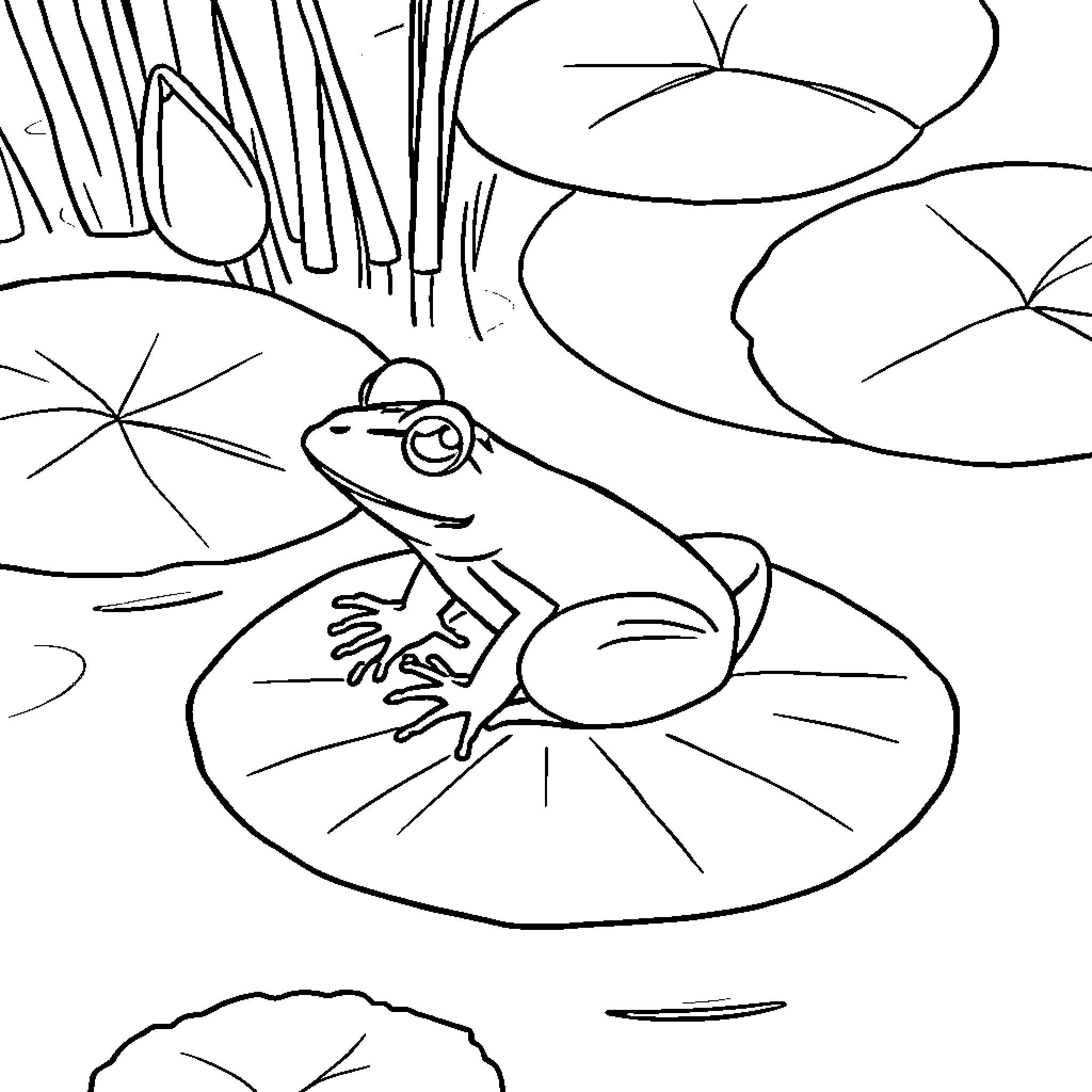 Frog resting on lily pad in pond Coloring Page (free black-and-white line drawing printable PDF for all, from beginners to advanced learners, including children, teens, adults, and seniors)