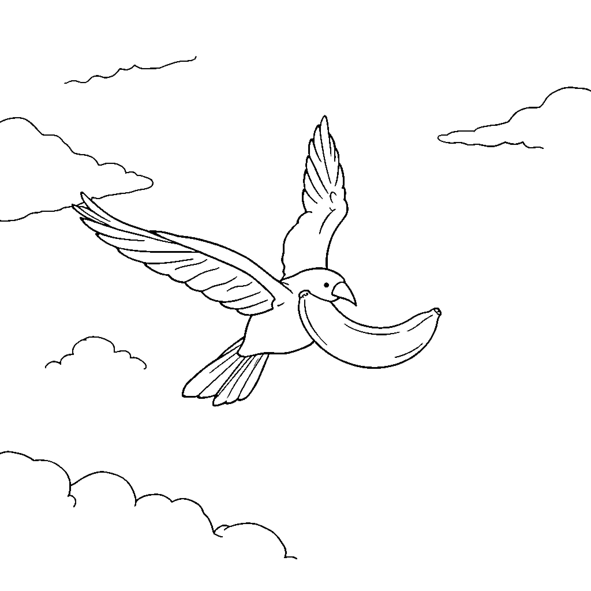 Chaparal bird soaring in the clouds Coloring Page (free black-and-white line drawing printable PDF for all, from beginners to advanced learners, including children, teens, adults, and seniors)