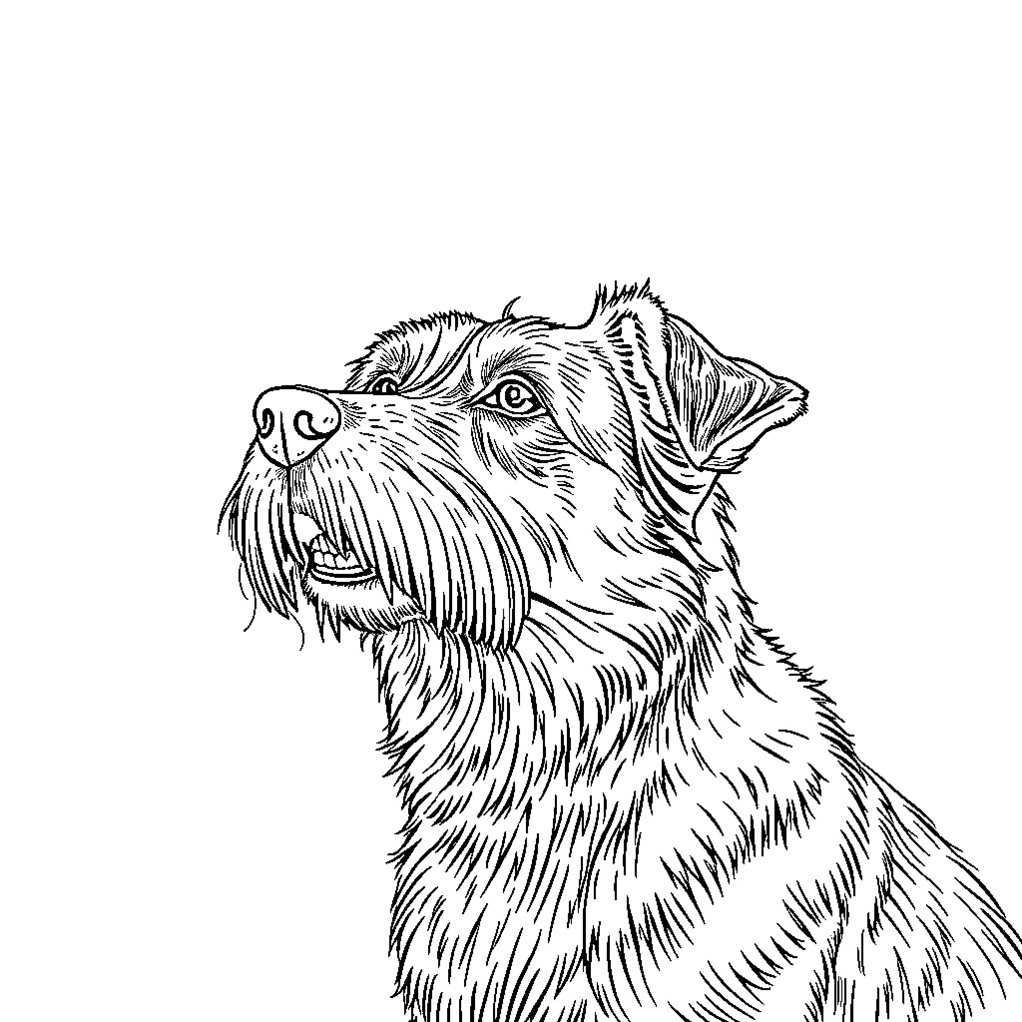 Dog gazing curiously into the distance Coloring Page (free black-and-white line drawing printable PDF for all, from beginners to advanced learners, including children, teens, adults, and seniors)