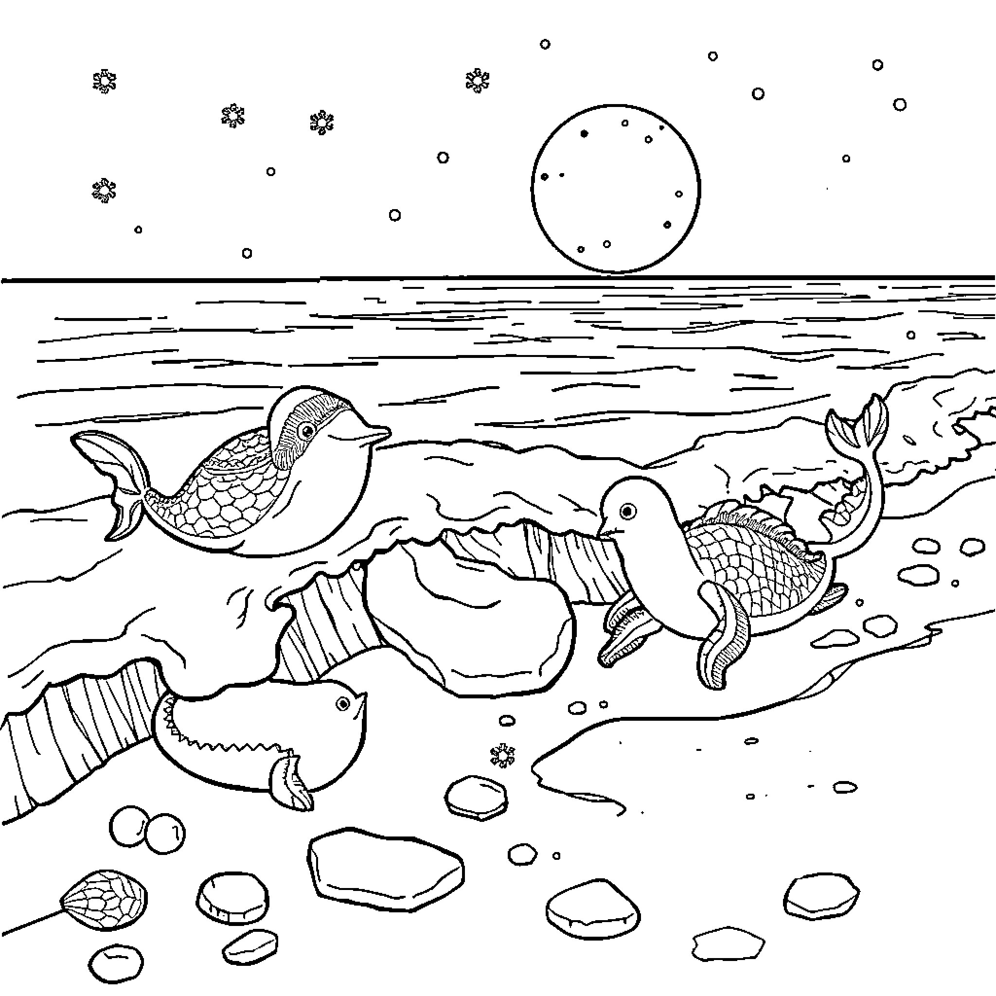 Sea Creatures Swimming in the Underwater Scene Coloring Page (free black-and-white line drawing printable PDF for all, from beginners to advanced learners, including children, teens, adults, and seniors)
