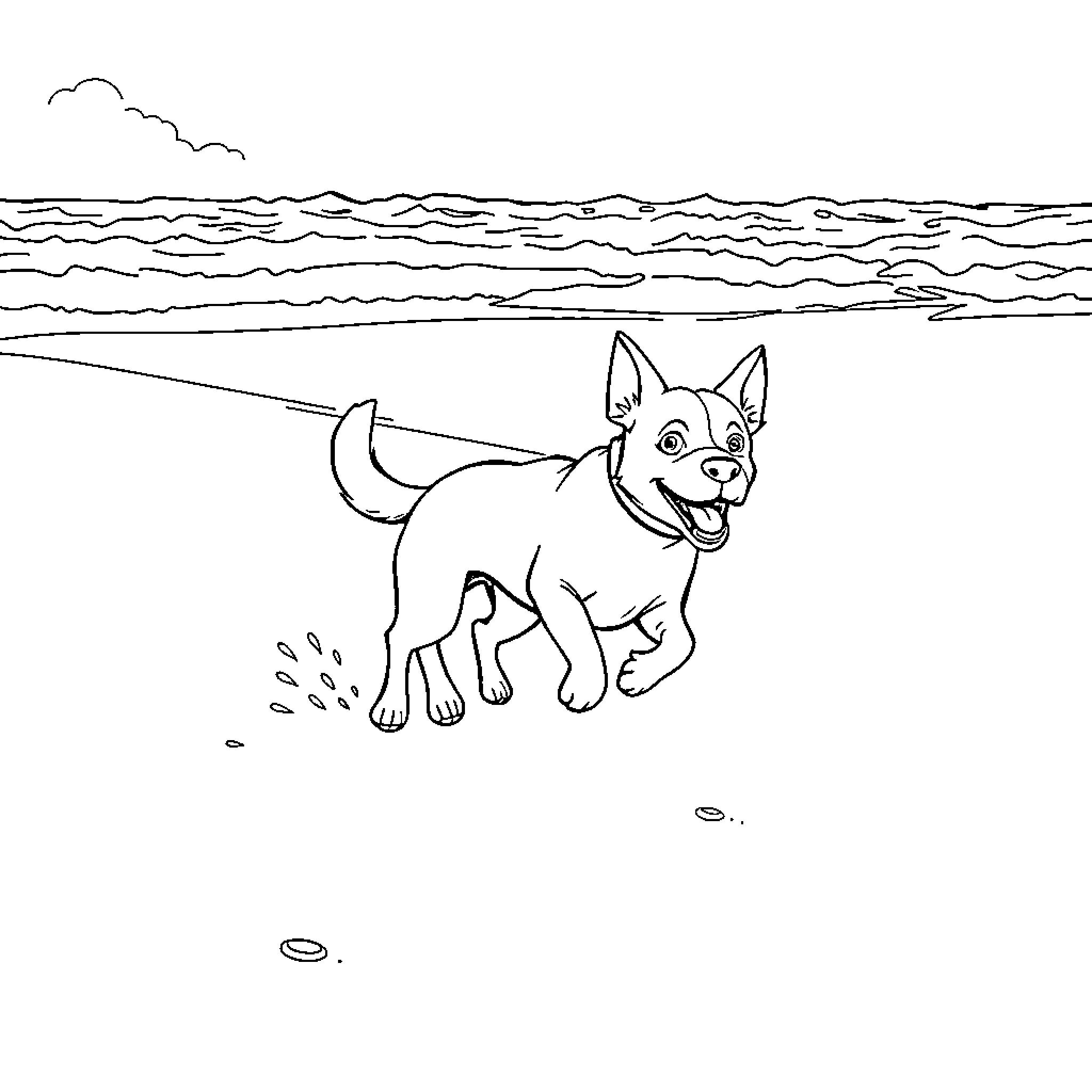 Dog running playfully on the beach Coloring Page (free black-and-white line drawing printable PDF for all, from beginners to advanced learners, including children, teens, adults, and seniors)