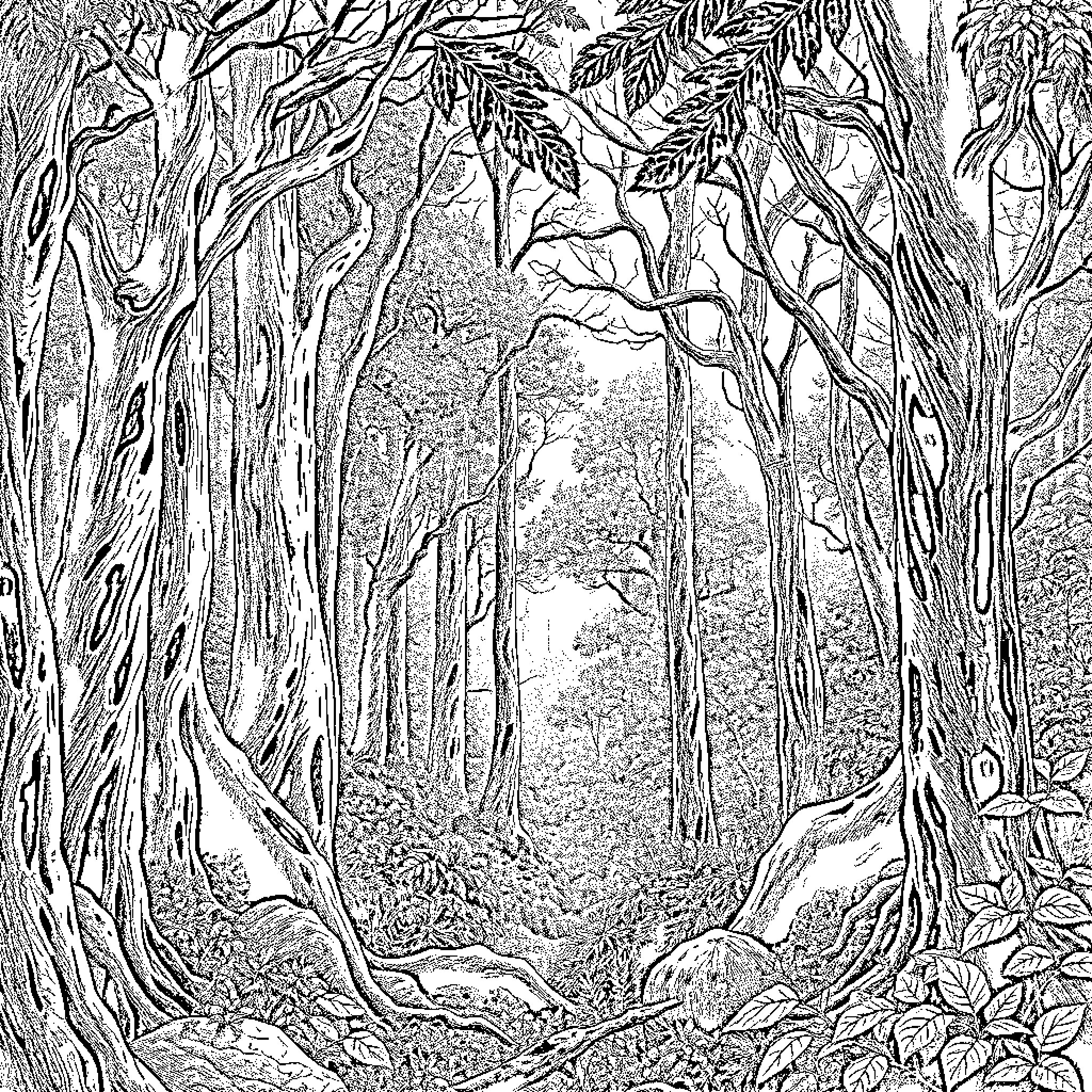 Jungle of Intertwined Roots and Foliage Coloring Page (free black-and-white line drawing printable PDF for all, from beginners to advanced learners, including children, teens, adults, and seniors)