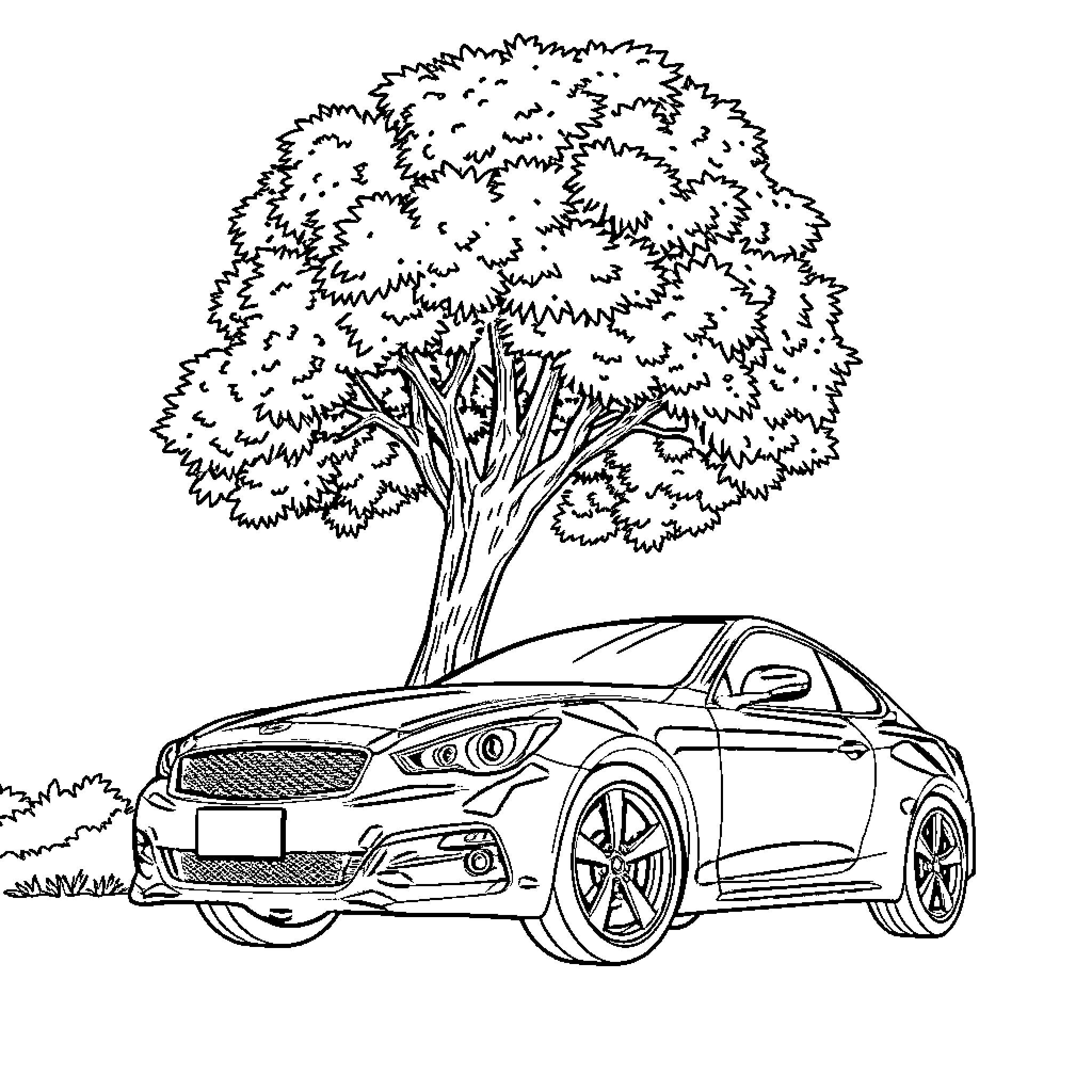 Car parked under a large tree Coloring Page (free black-and-white line drawing printable PDF for all, from beginners to advanced learners, including children, teens, adults, and seniors)