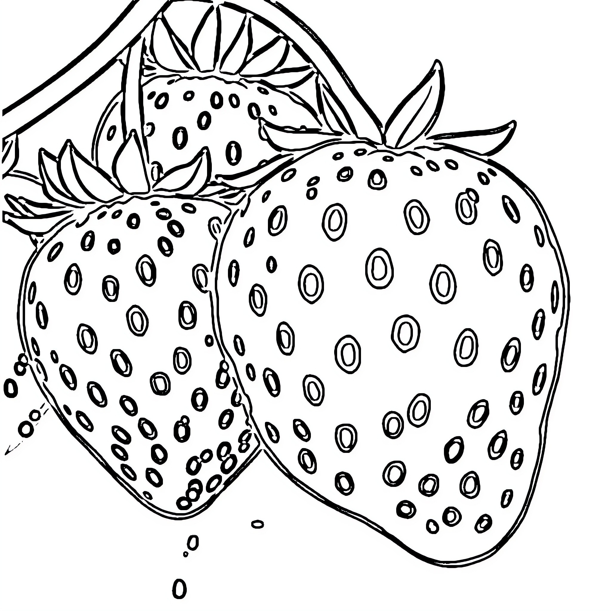Strawberry line art design Coloring Page (free black-and-white line drawing printable PDF for all, from beginners to advanced learners, including children, teens, adults, and seniors)