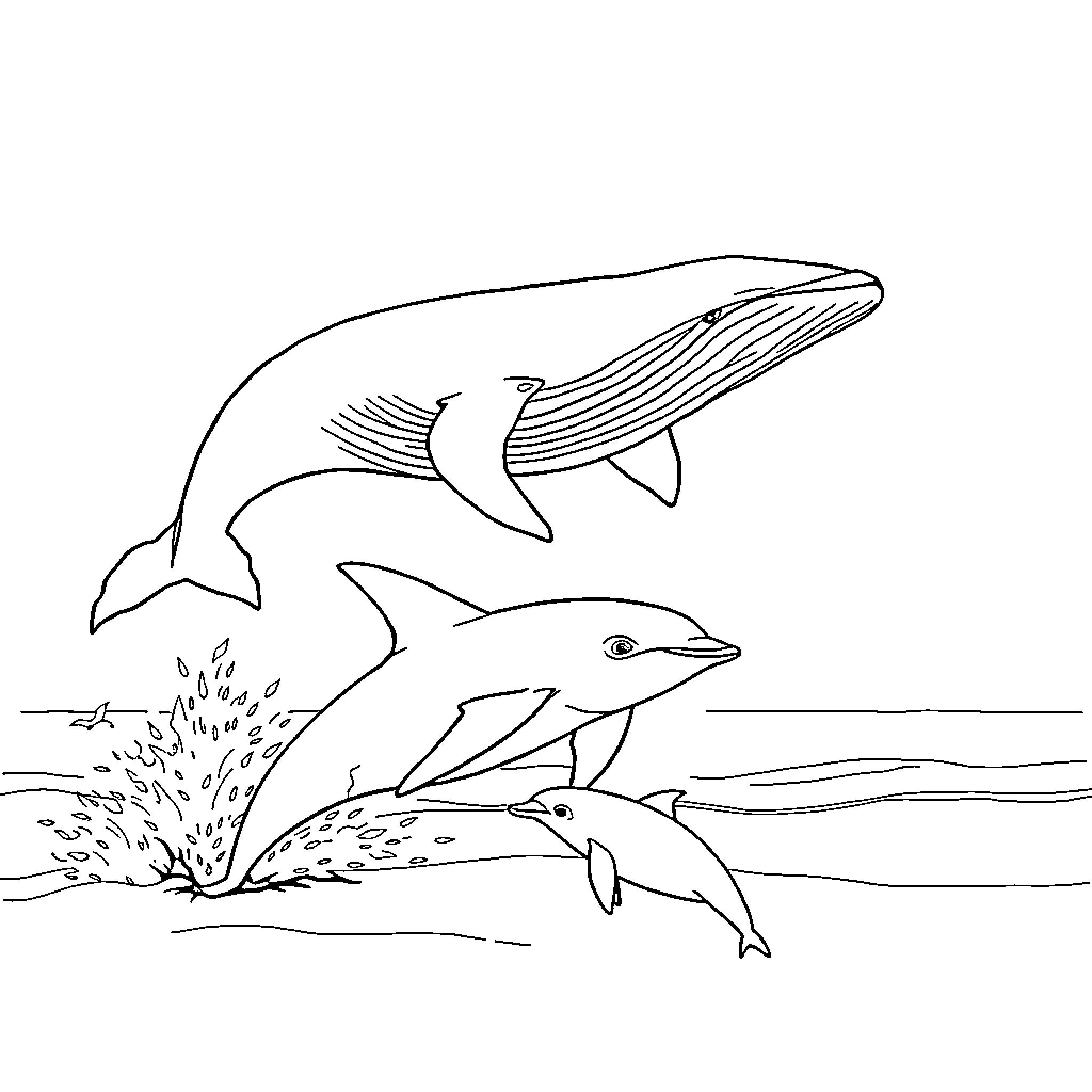 Whale and dolphins swimming together in the ocean Coloring Page (free black-and-white line drawing printable PDF for all, from beginners to advanced learners, including children, teens, adults, and seniors)