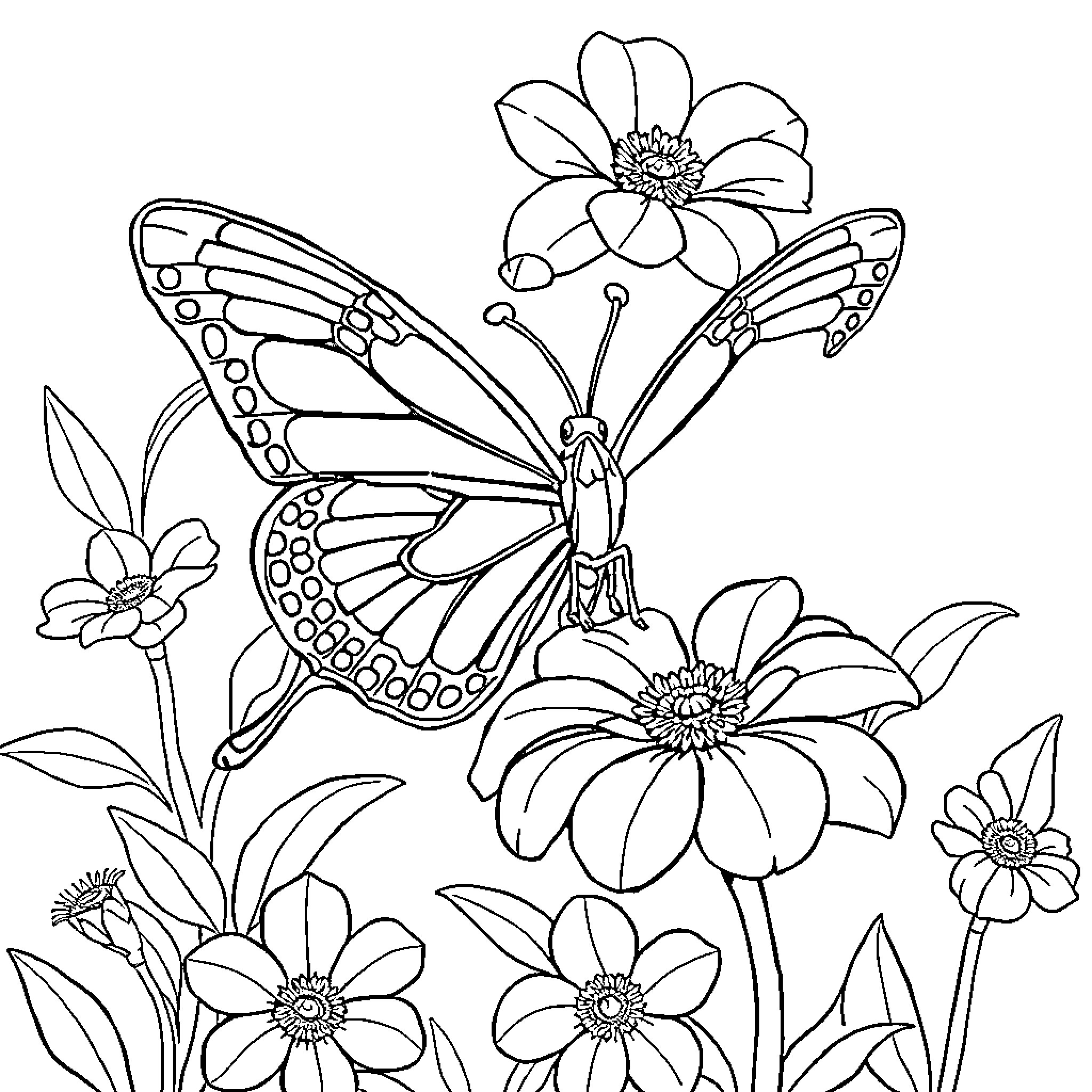 Butterfly resting on flowers in nature Coloring Page (free black-and-white line drawing printable PDF for all, from beginners to advanced learners, including children, teens, adults, and seniors)