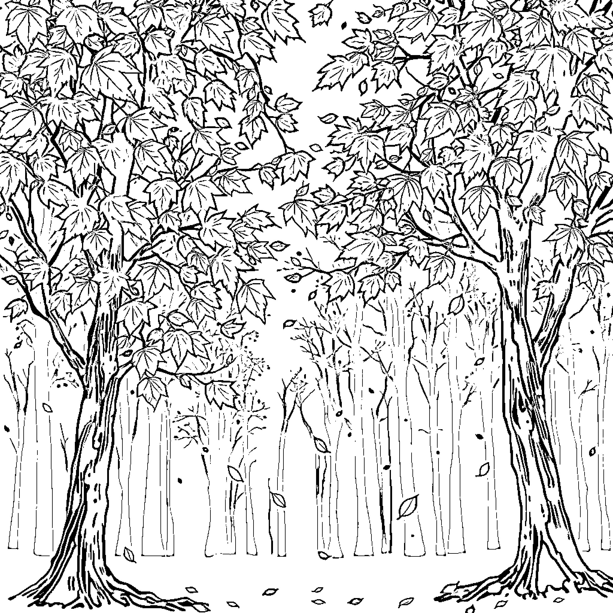 Leaf-covered forest with falling foliage Coloring Page (free black-and-white line drawing printable PDF for all, from beginners to advanced learners, including children, teens, adults, and seniors)