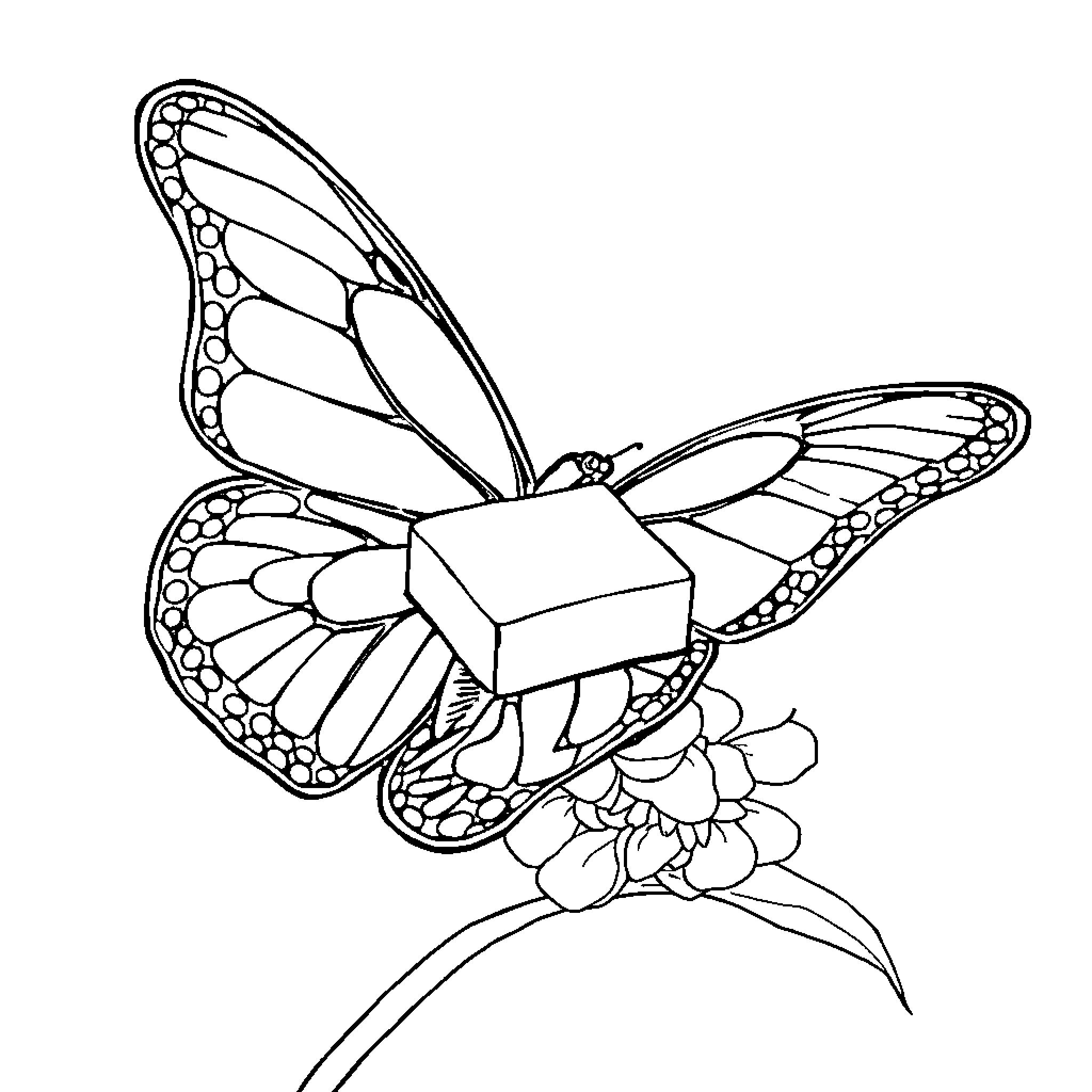 Butterfly perched on a flower Coloring Page (free black-and-white line drawing printable PDF for all, from beginners to advanced learners, including children, teens, adults, and seniors)