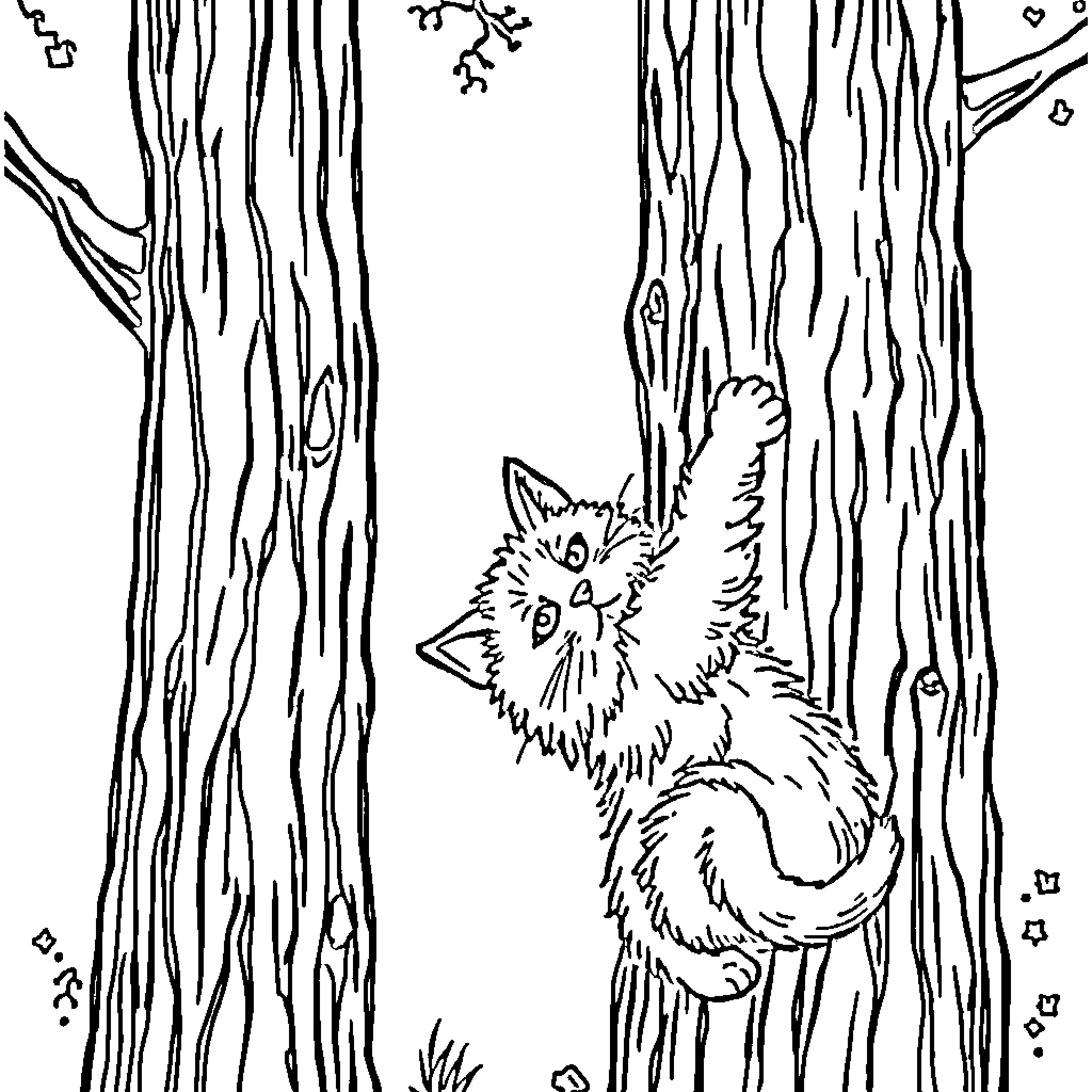 Cat peeking curiously through tree bark Coloring Page (free black-and-white line drawing printable PDF for all, from beginners to advanced learners, including children, teens, adults, and seniors)