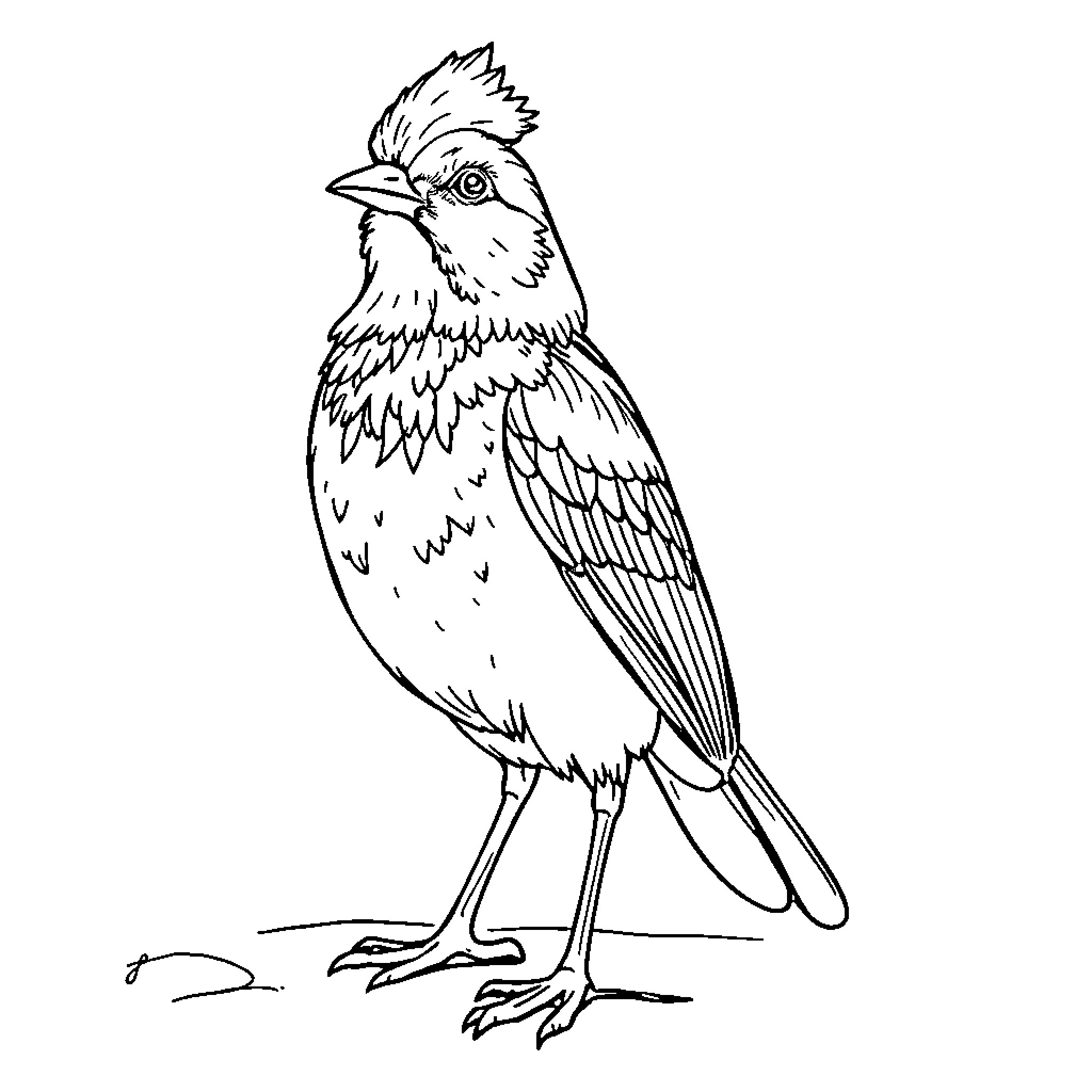 Chick perched and observing the surroundings Coloring Page (free black-and-white line drawing printable PDF for all, from beginners to advanced learners, including children, teens, adults, and seniors)