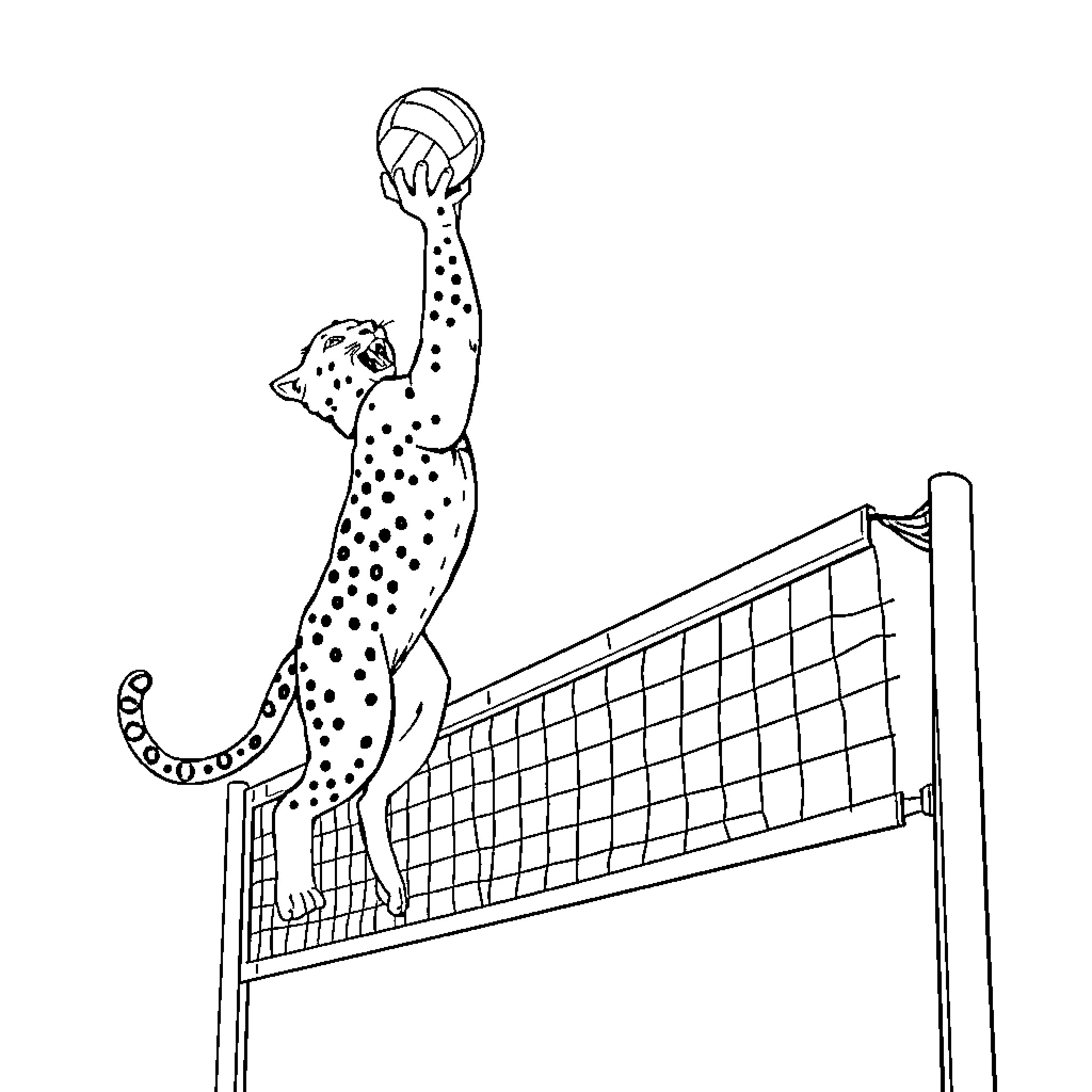 Cougar playing volleyball on the beach Coloring Page (free black-and-white line drawing printable PDF for all, from beginners to advanced learners, including children, teens, adults, and seniors)