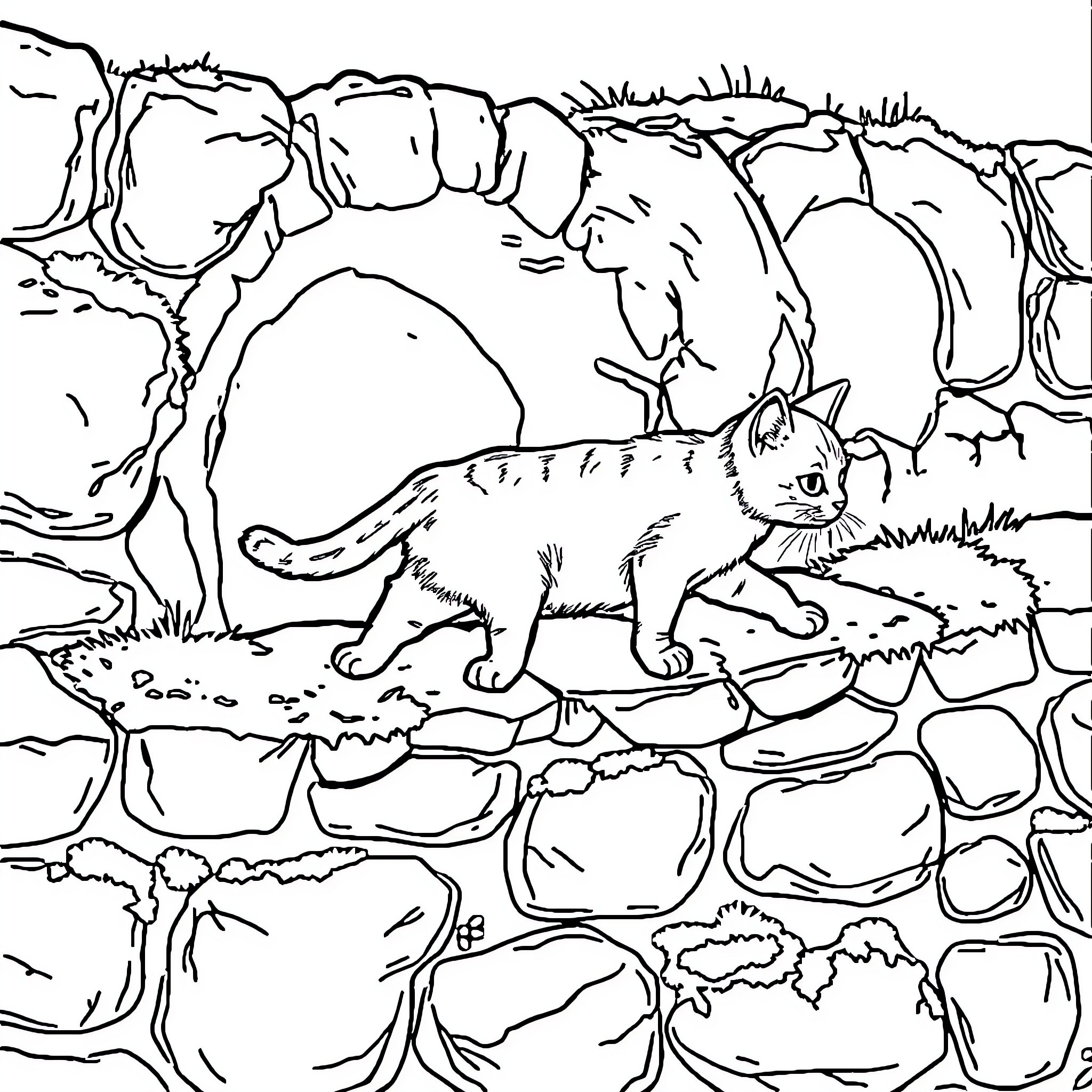 Cat exploring rocky terrain Coloring Page (free black-and-white line drawing printable PDF for all, from beginners to advanced learners, including children, teens, adults, and seniors)