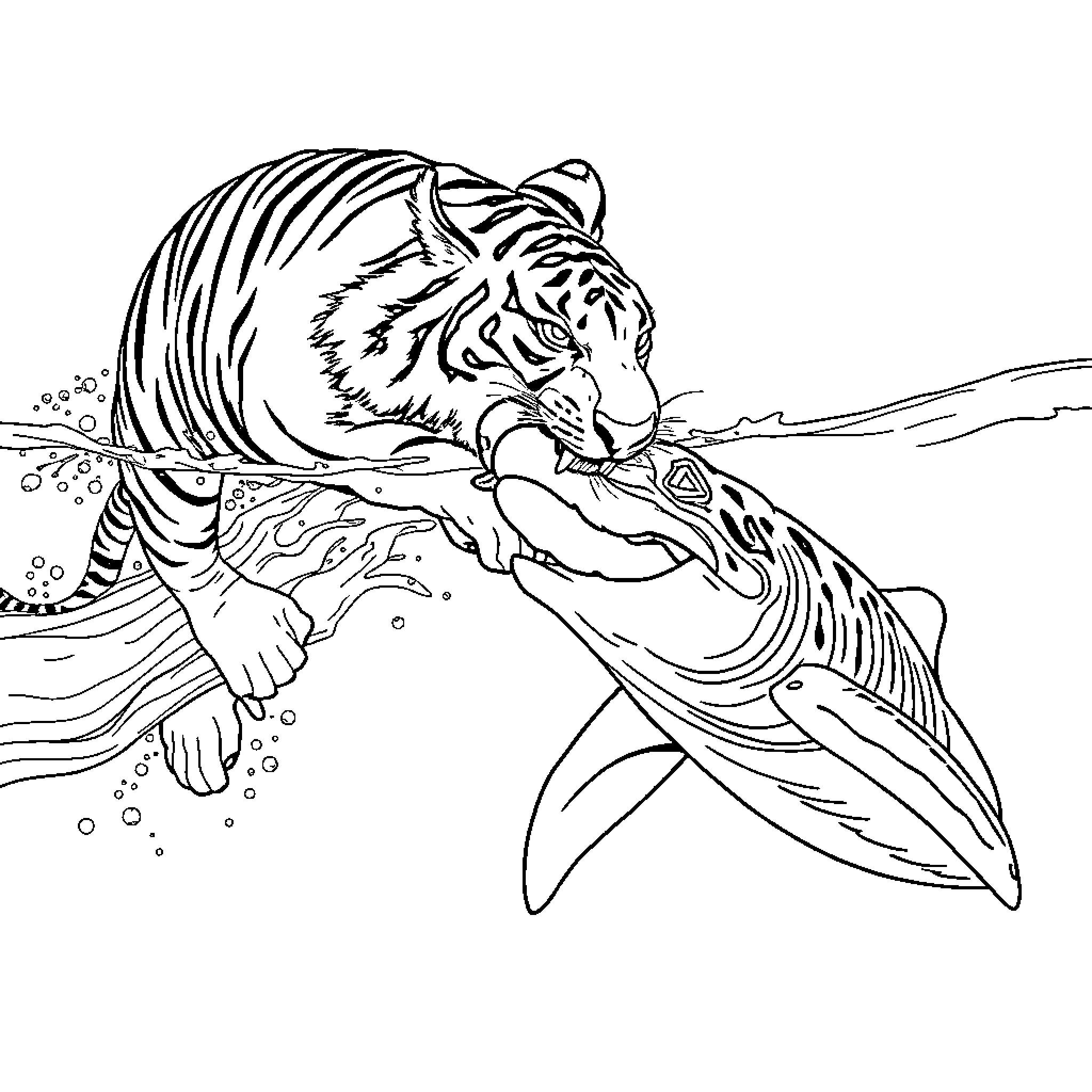 Tigre swimming fiercely in the water Coloring Page (free black-and-white line drawing printable PDF for all, from beginners to advanced learners, including children, teens, adults, and seniors)