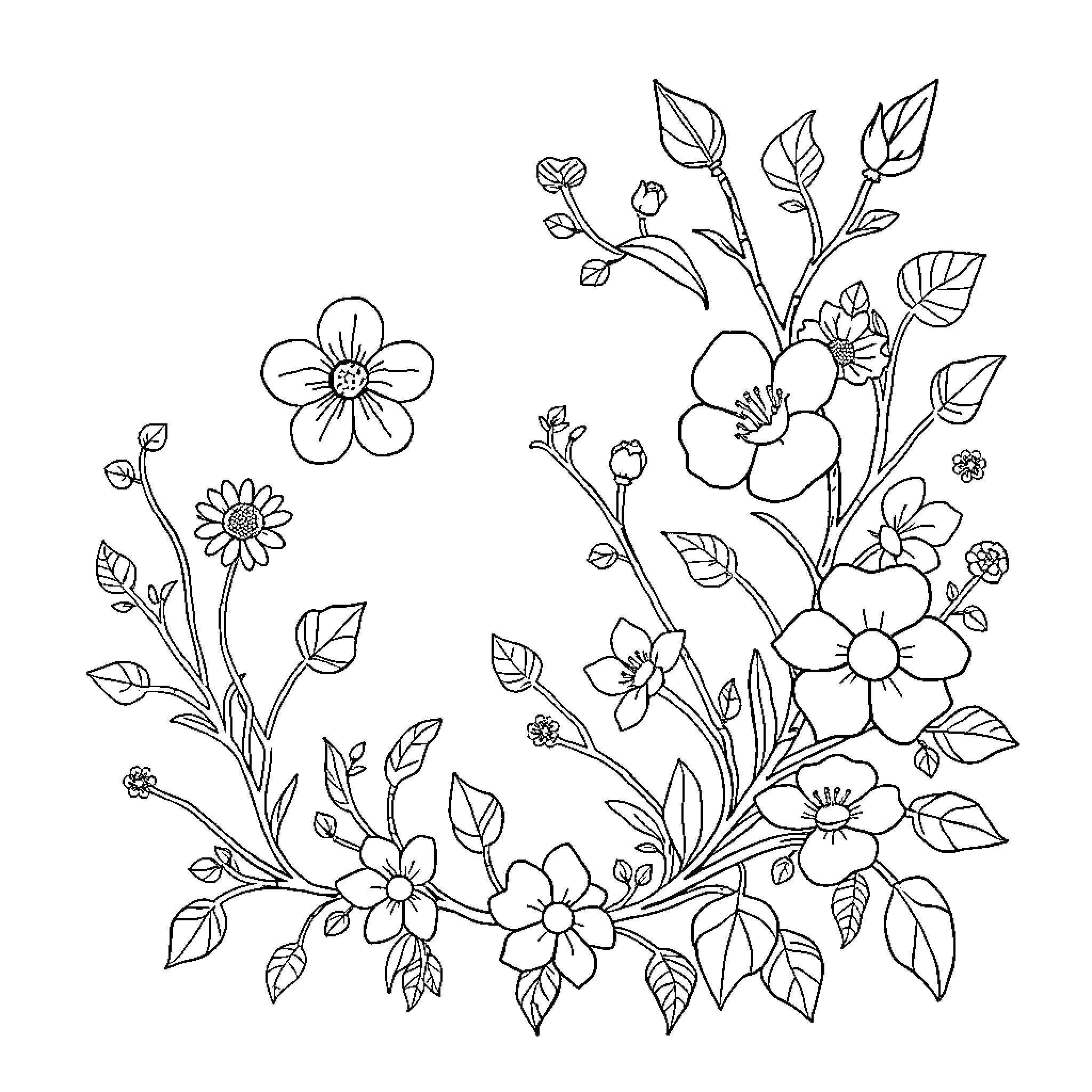 Flower bouquet with delicate flora Coloring Page (free black-and-white line drawing printable PDF for all, from beginners to advanced learners, including children, teens, adults, and seniors)