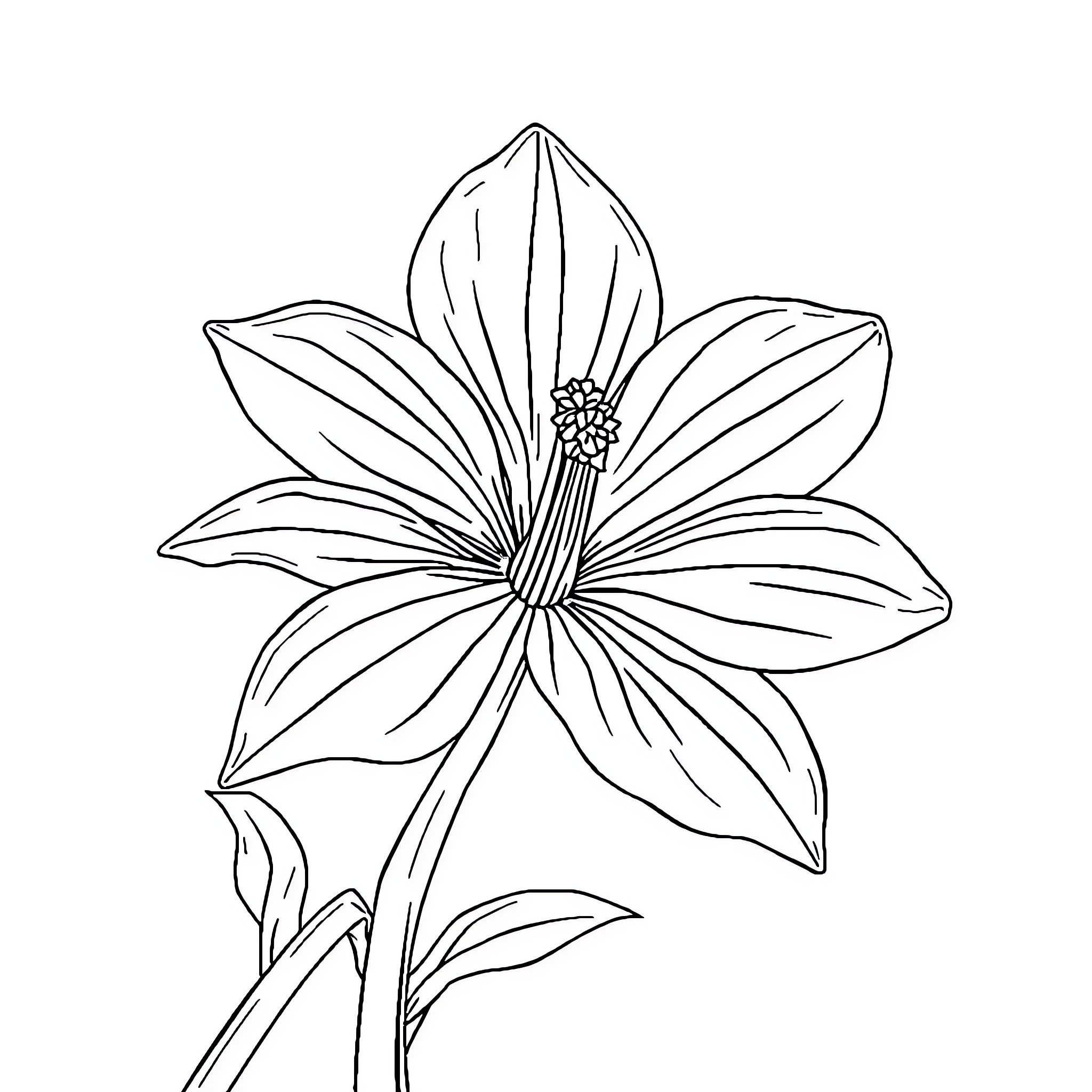 Flower with detailed petals and center Coloring Page (free black-and-white line drawing printable PDF for all, from beginners to advanced learners, including children, teens, adults, and seniors)