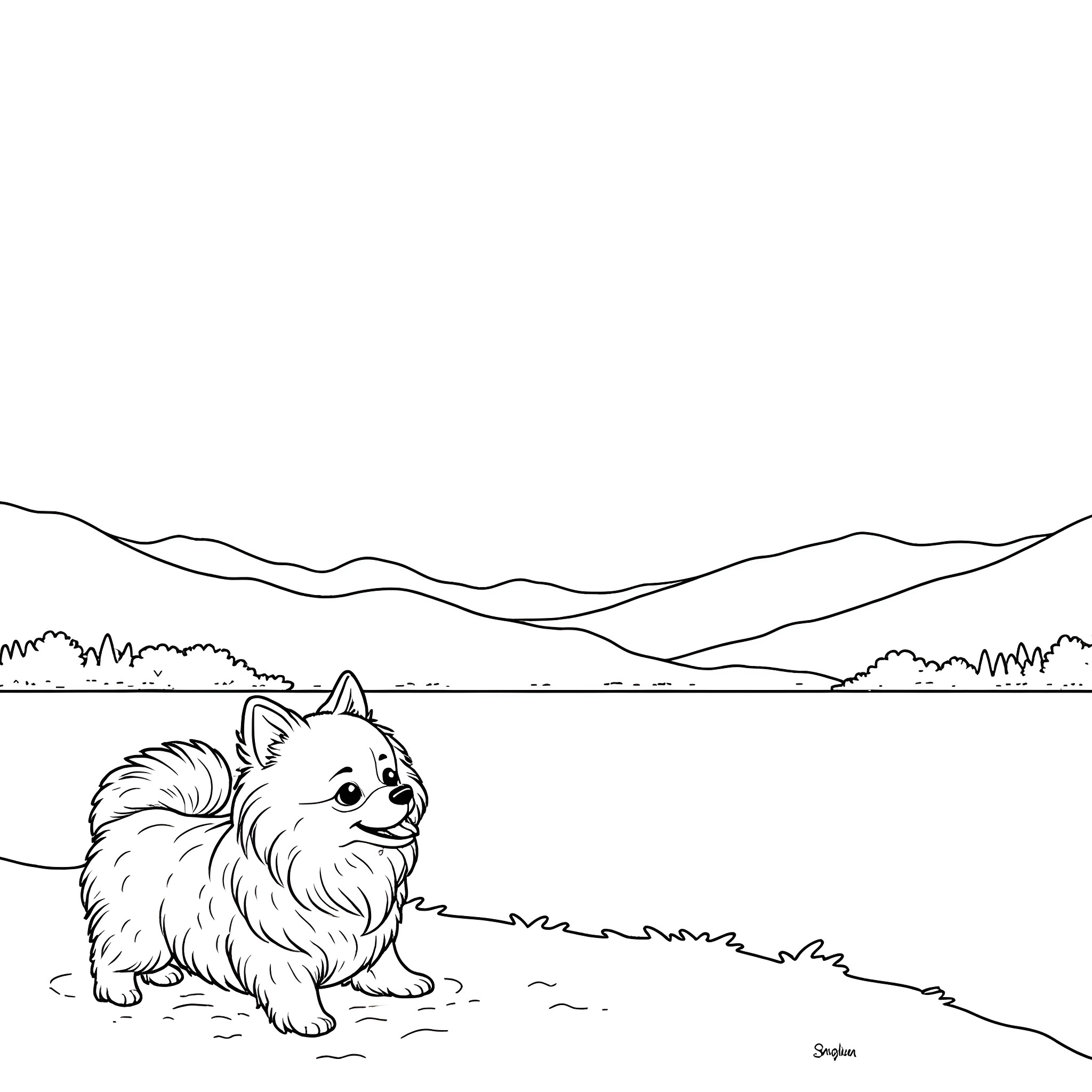 Pomeranian playing in the countryside Coloring Page (free black-and-white line drawing printable PDF for all, from beginners to advanced learners, including children, teens, adults, and seniors)