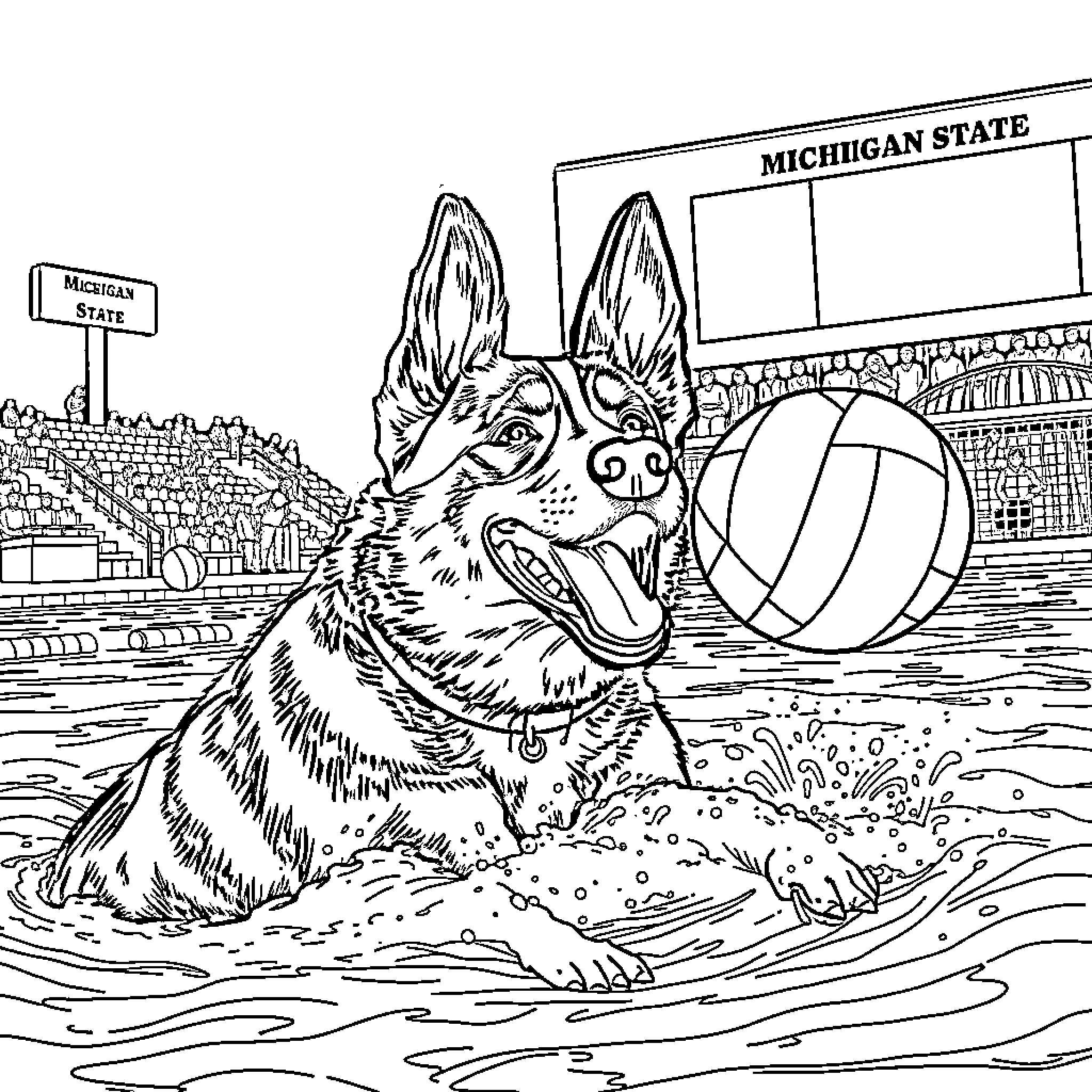 Blue Heeler playing with volleyball at stadium Coloring Page (free black-and-white line drawing printable PDF for all, from beginners to advanced learners, including children, teens, adults, and seniors)