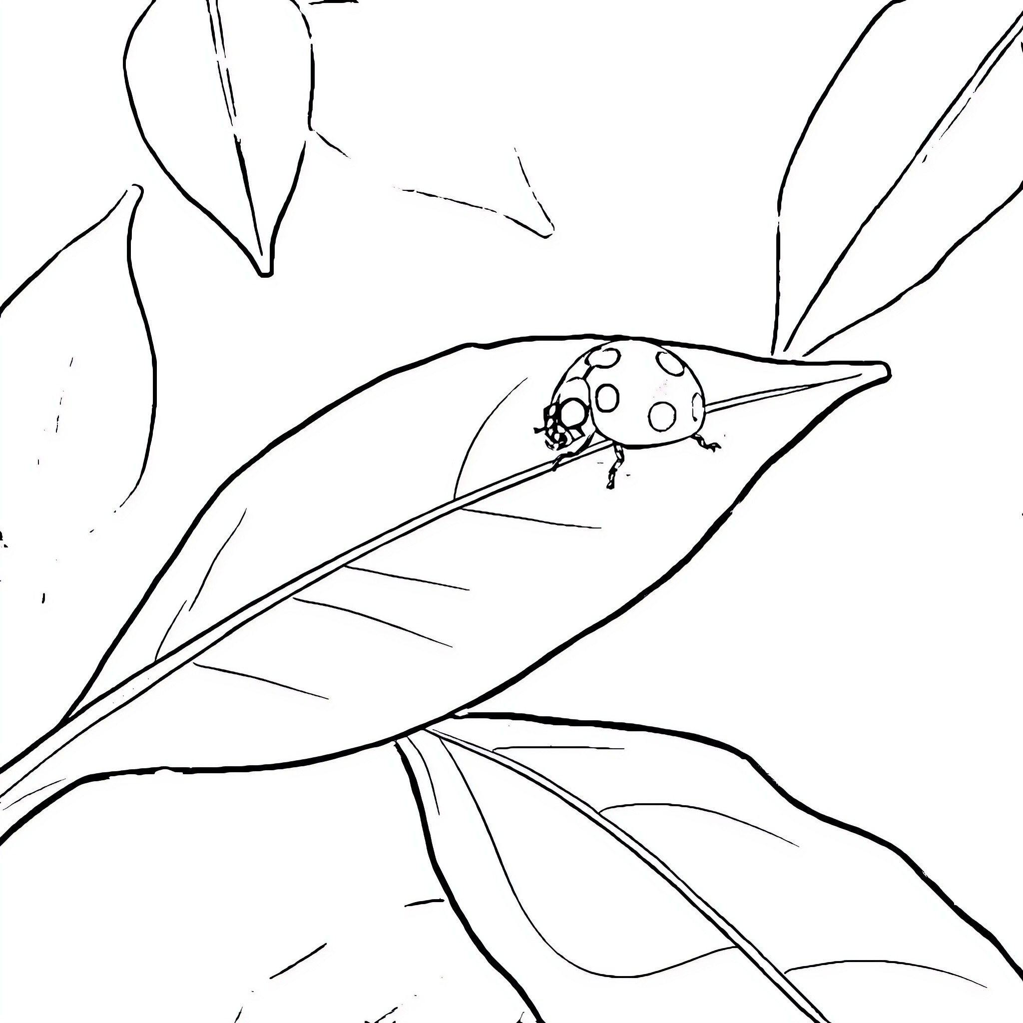 Ladybug resting on a leaf Coloring Page (free black-and-white line drawing printable PDF for all, from beginners to advanced learners, including children, teens, adults, and seniors)
