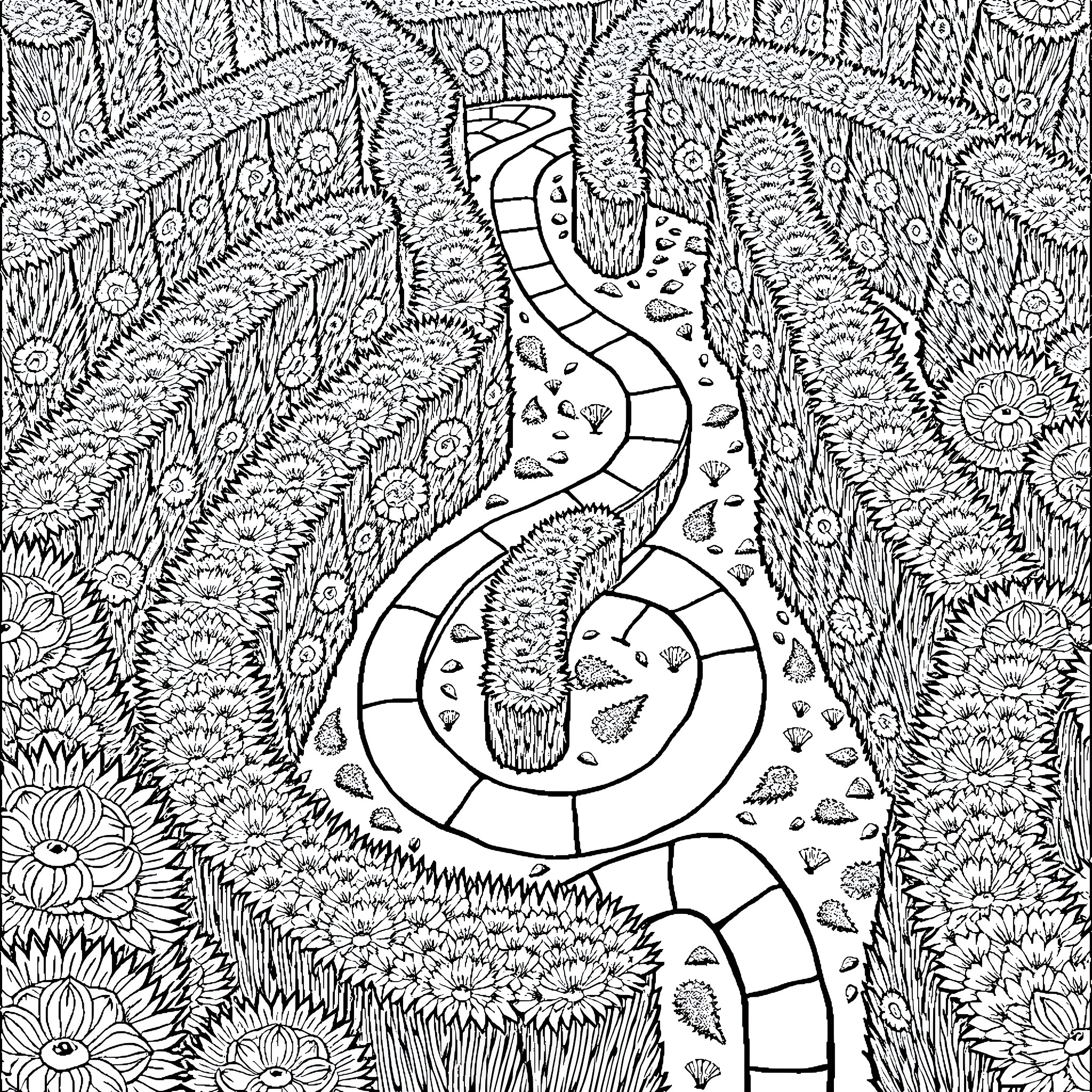 Labyrinth of Intricate Patterns and Pathways Coloring Page (free black-and-white line drawing printable PDF for all, from beginners to advanced learners, including children, teens, adults, and seniors)