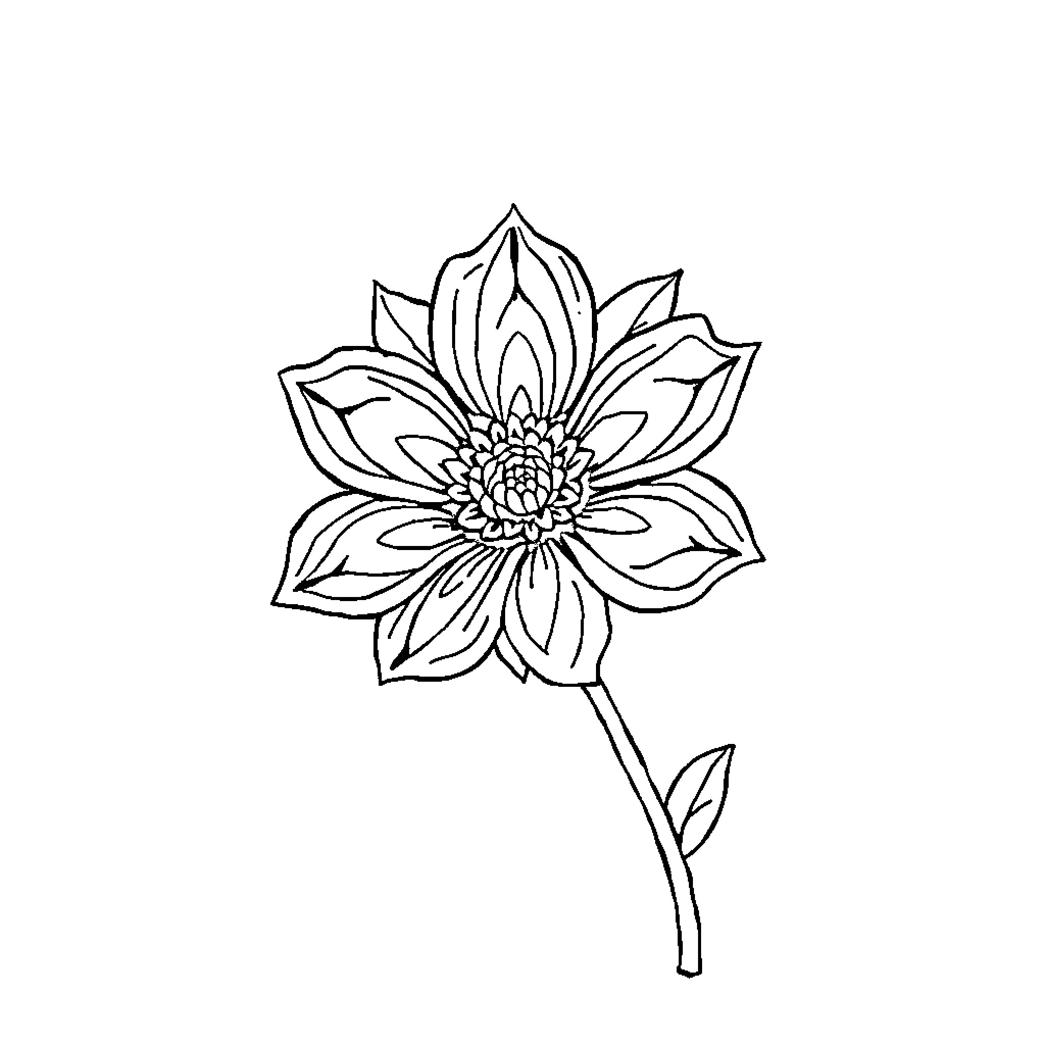 Flower with intricate petals Coloring Page (free black-and-white line drawing printable PDF for all, from beginners to advanced learners, including children, teens, adults, and seniors)