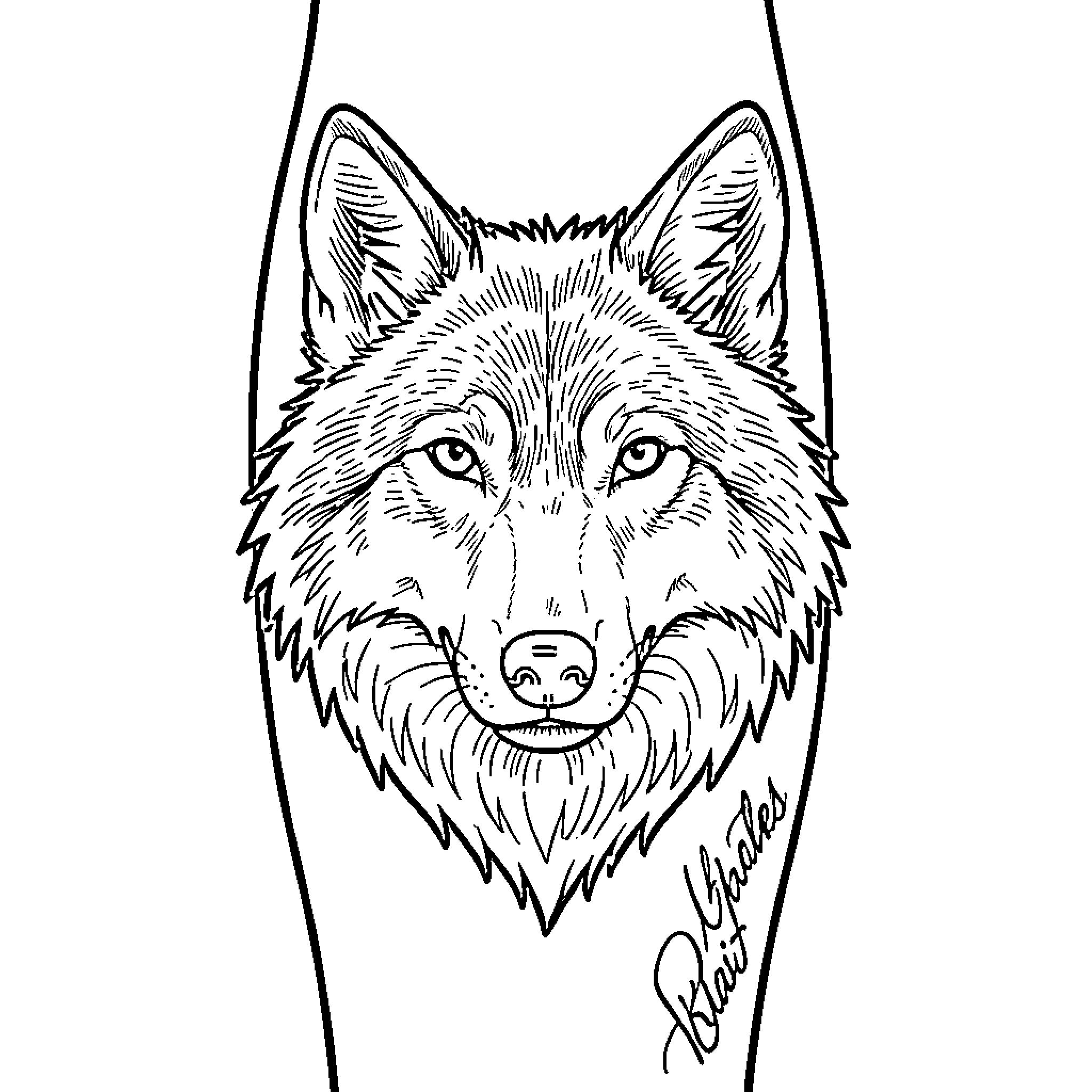 Wolf looking forward with a calm expression Coloring Page (free black-and-white line drawing printable PDF for all, from beginners to advanced learners, including children, teens, adults, and seniors)