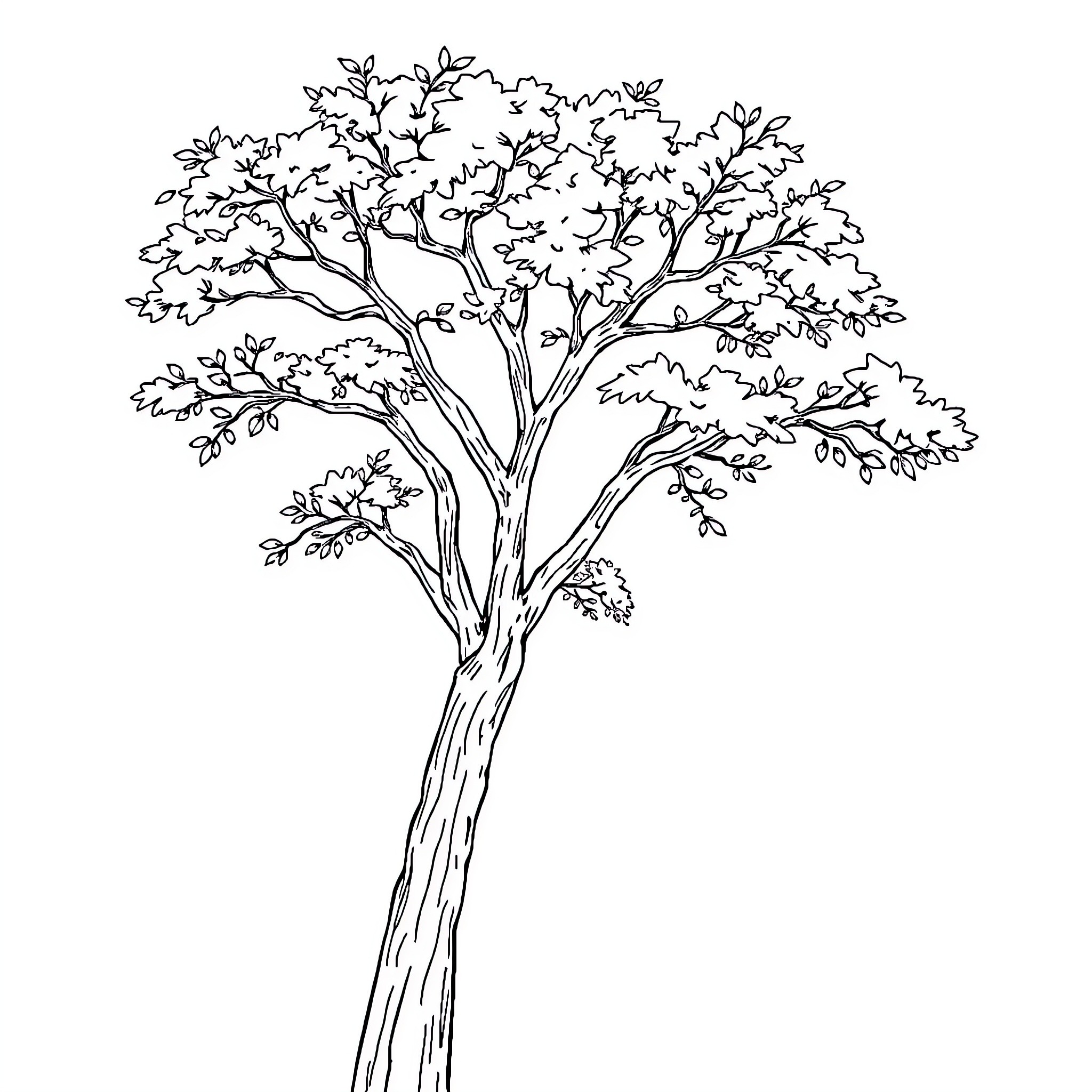 Tree with Intricate Branches and Leaves Coloring Page (free black-and-white line drawing printable PDF for all, from beginners to advanced learners, including children, teens, adults, and seniors)