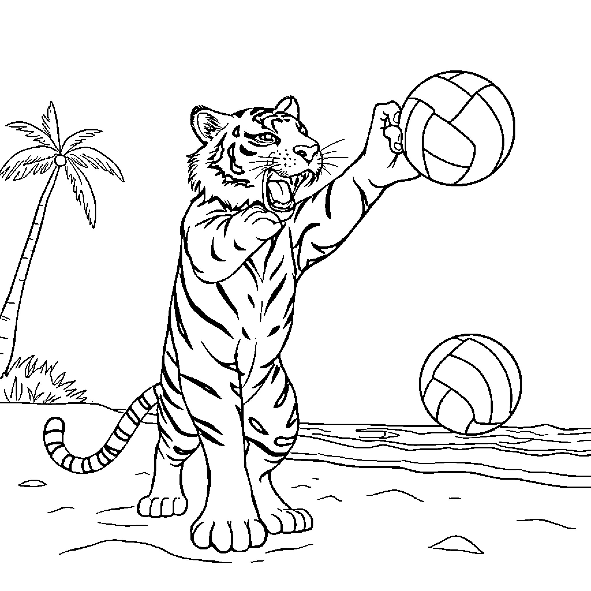 Tiger playing volleyball on tropical beach Coloring Page (free black-and-white line drawing printable PDF for all, from beginners to advanced learners, including children, teens, adults, and seniors)