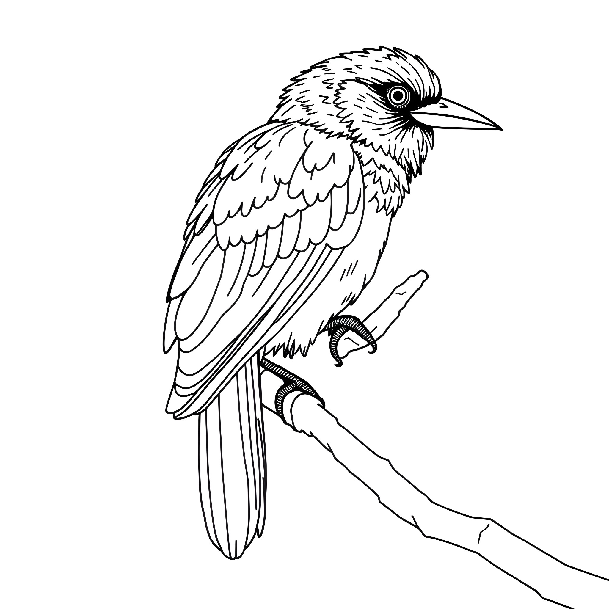Passerina bird perched on a branch Coloring Page (free black-and-white line drawing printable PDF for all, from beginners to advanced learners, including children, teens, adults, and seniors)