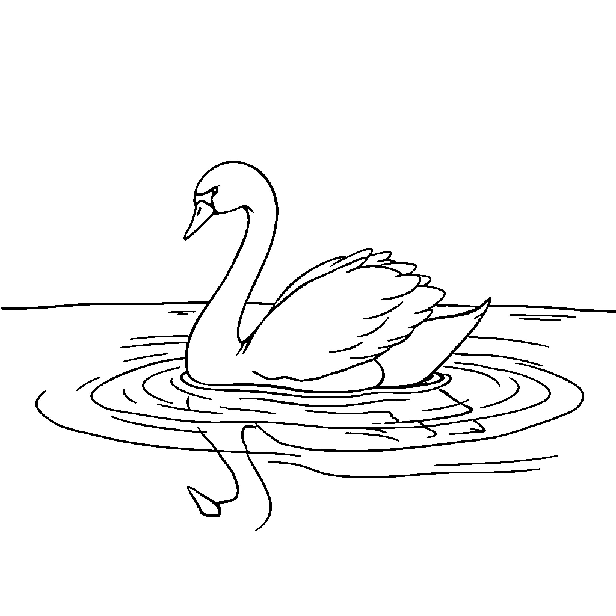 Swan gracefully floating on tranquil waters Coloring Page (free black-and-white line drawing printable PDF for all, from beginners to advanced learners, including children, teens, adults, and seniors)