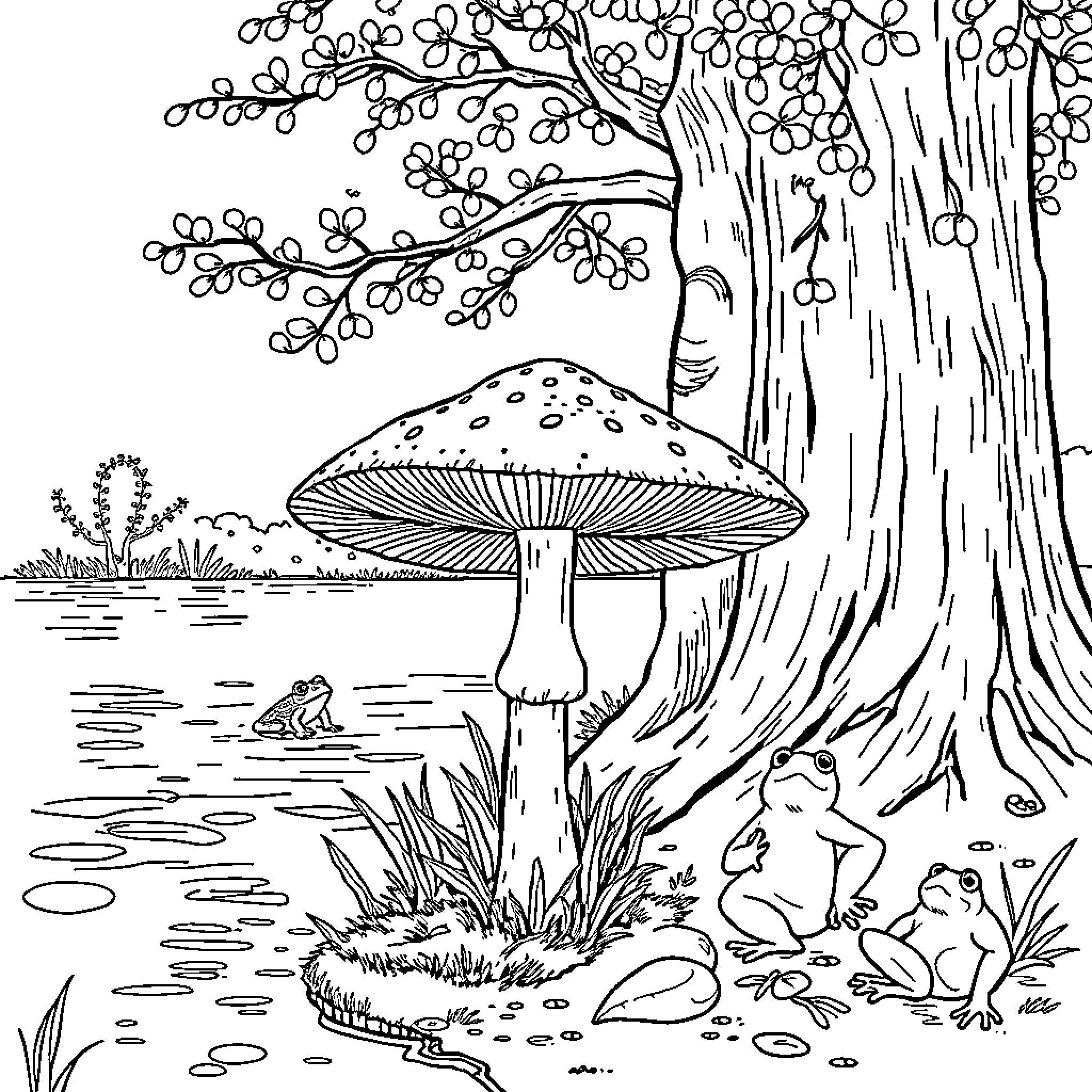 Mushroom forest scene with frogs Coloring Page (free black-and-white line drawing printable PDF for all, from beginners to advanced learners, including children, teens, adults, and seniors)