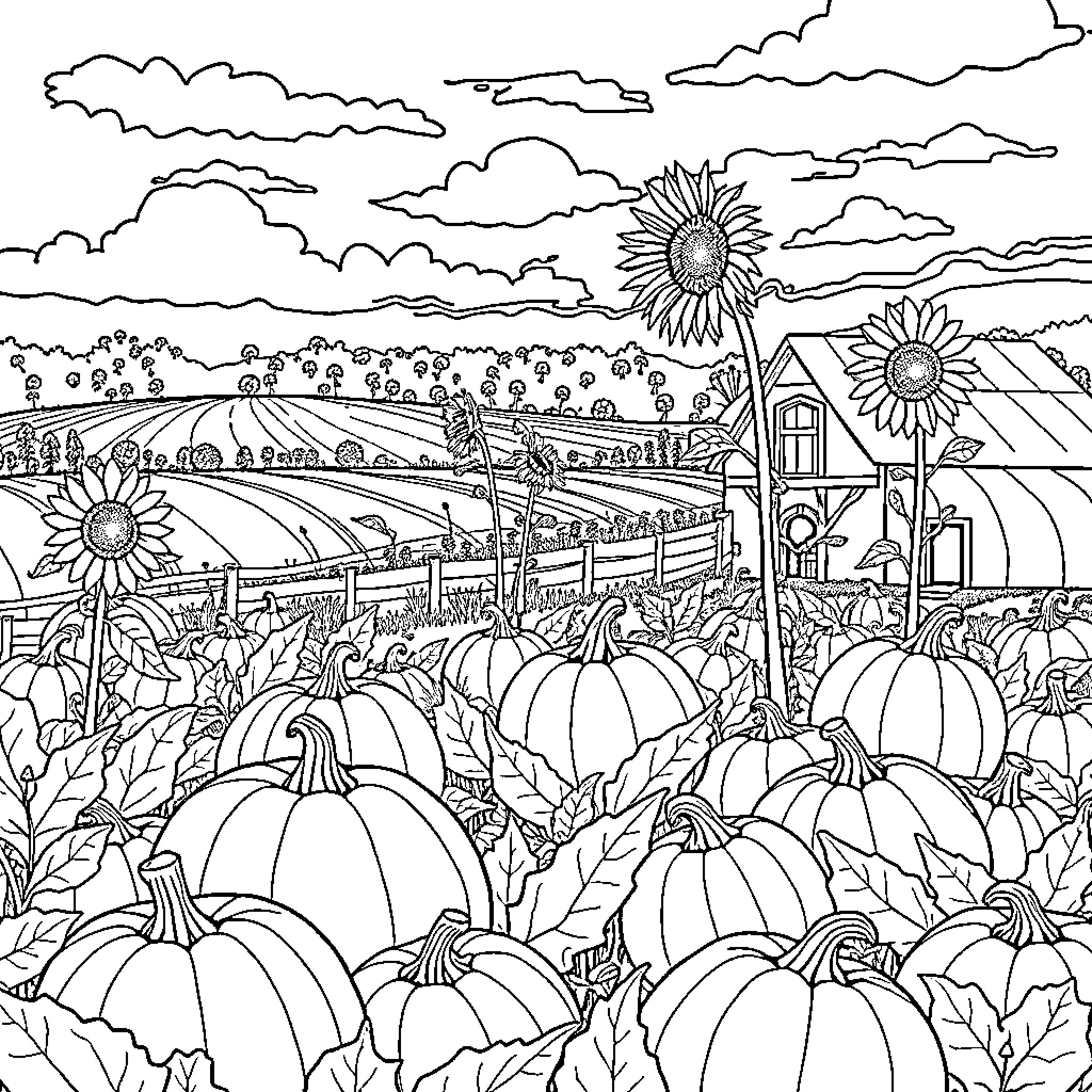 Farm Scene with Vibrant Pumpkin Patch and Sunflowers Coloring Page (free black-and-white line drawing printable PDF for all, from beginners to advanced learners, including children, teens, adults, and seniors)