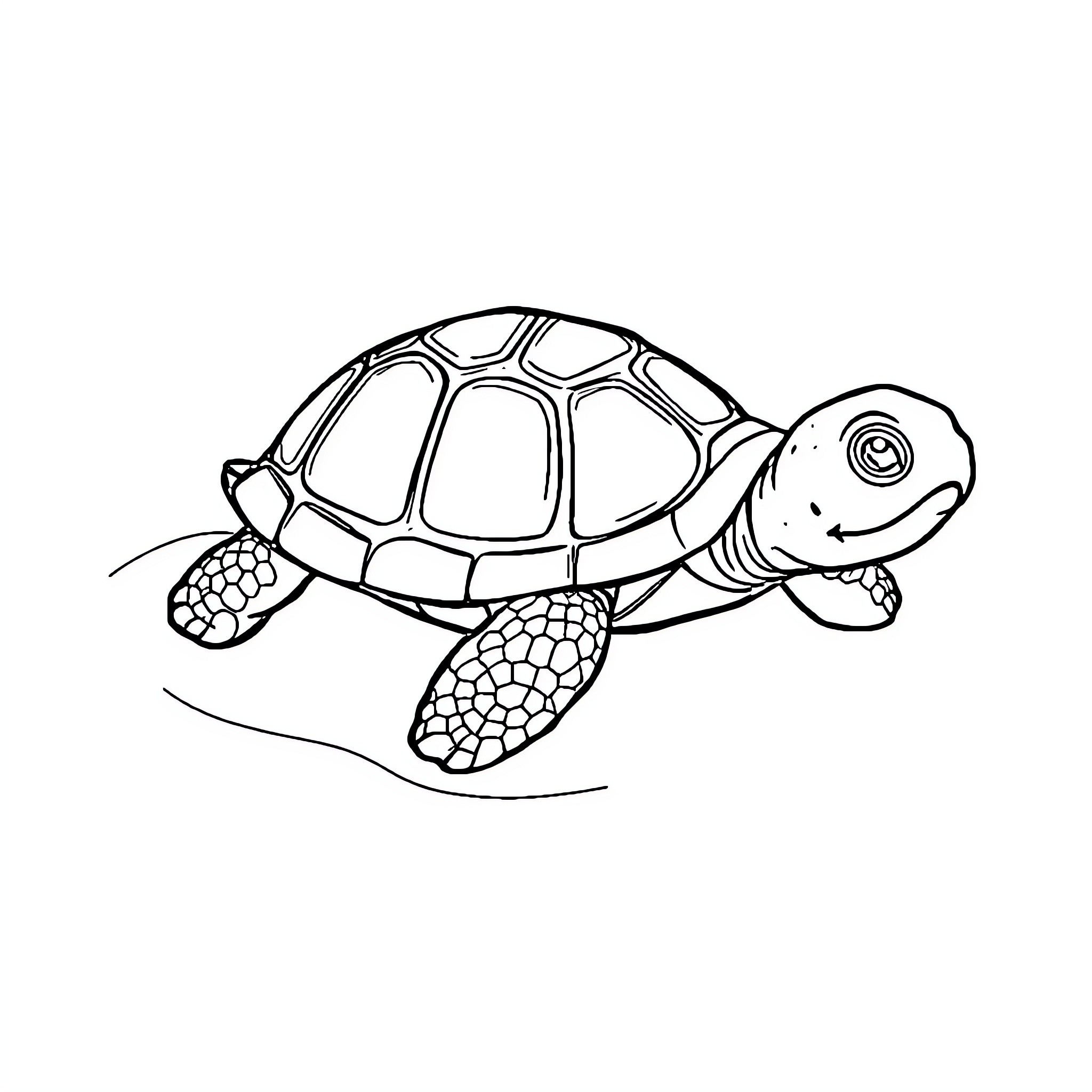 Turtle swimming gracefully Coloring Page (free black-and-white line drawing printable PDF for all, from beginners to advanced learners, including children, teens, adults, and seniors)