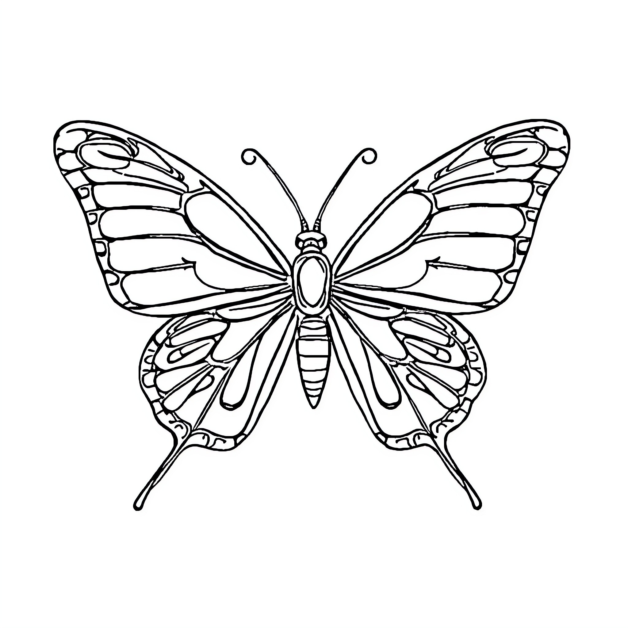 Butterfly with intricate wing patterns Coloring Page (free black-and-white line drawing printable PDF for all, from beginners to advanced learners, including children, teens, adults, and seniors)
