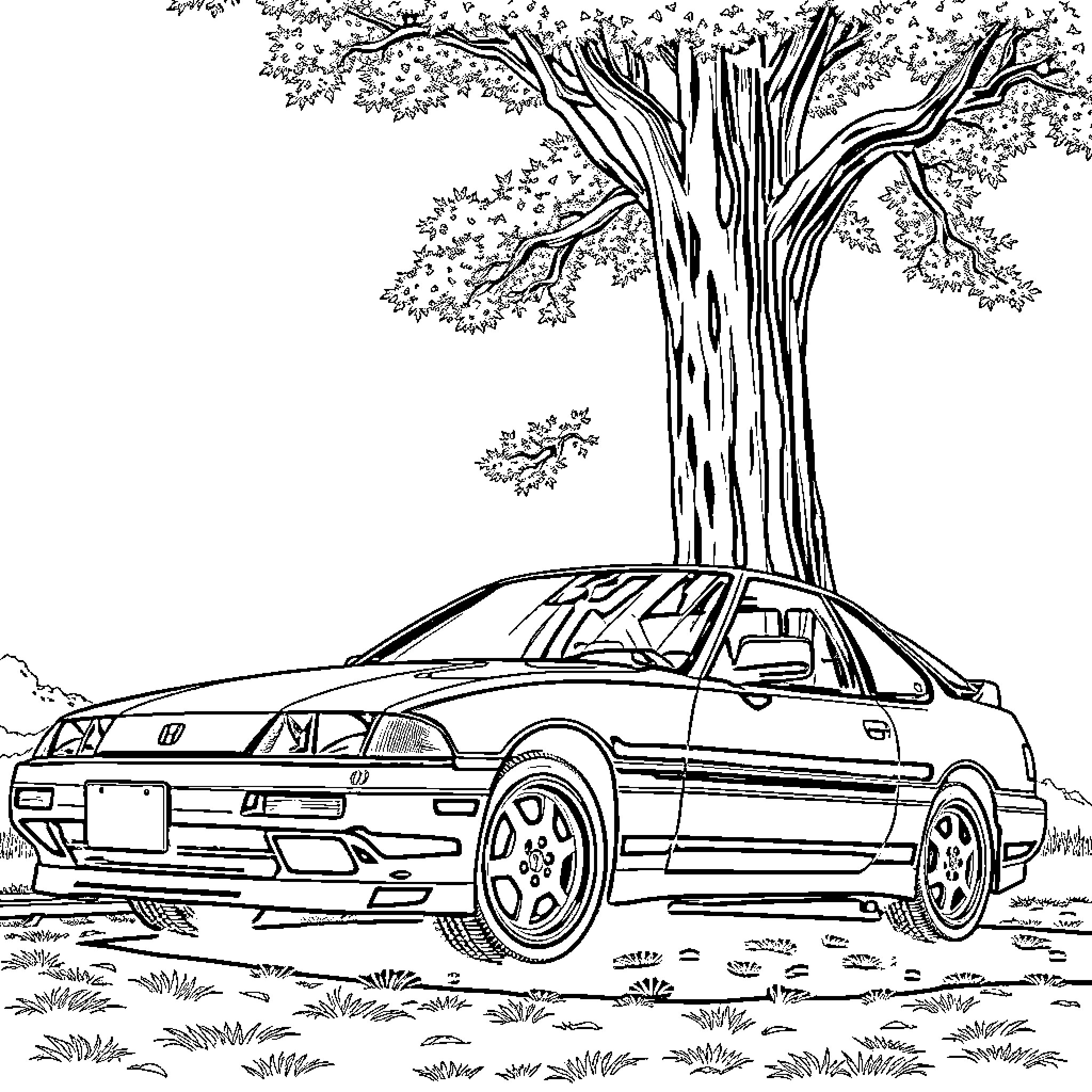 Honda Prelude in peaceful nature scene Coloring Page (free black-and-white line drawing printable PDF for all, from beginners to advanced learners, including children, teens, adults, and seniors)